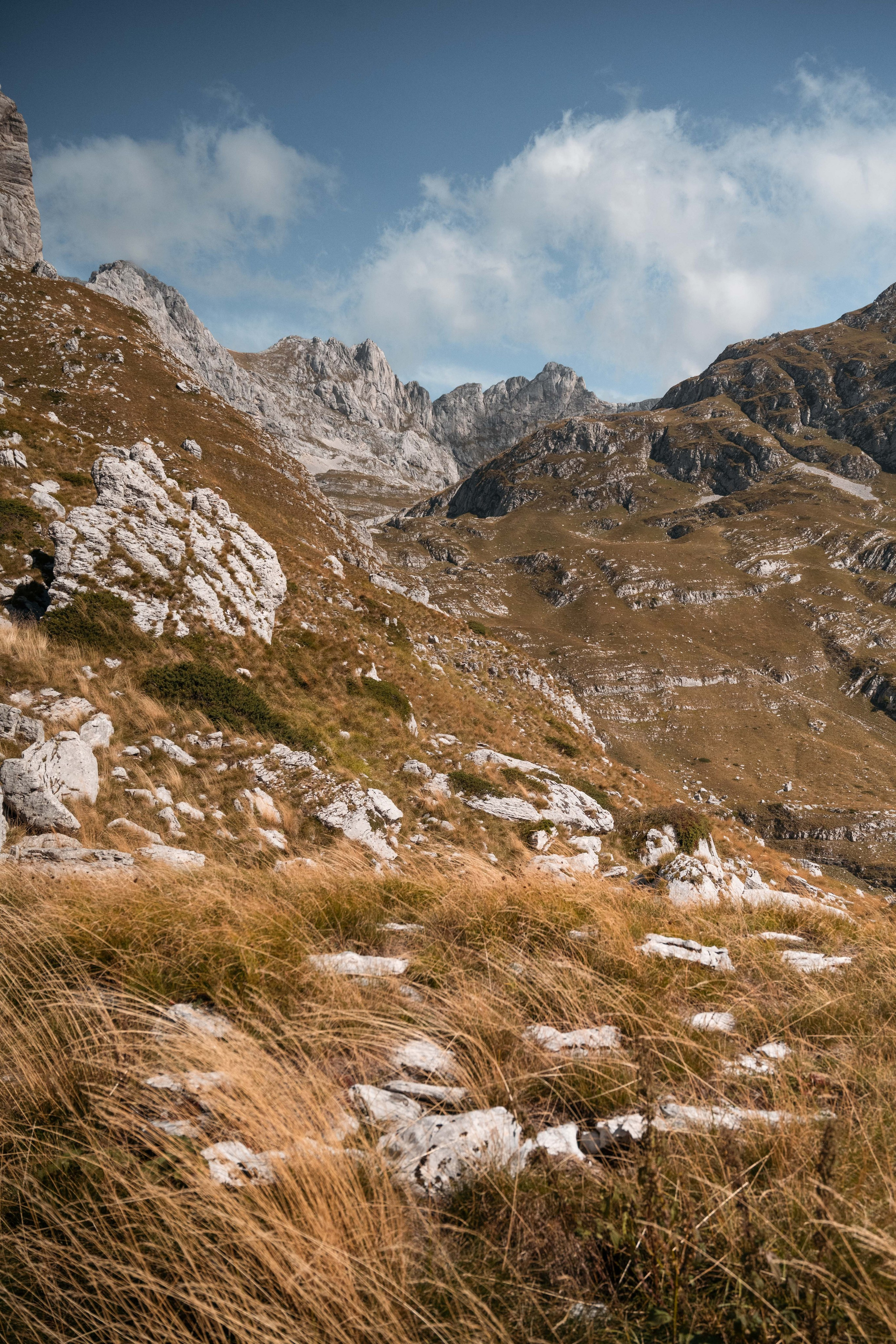 ПРУТАЖ. ЧЕРНОГОРИЯ. Фотограф в Белграде Чугреева Елена