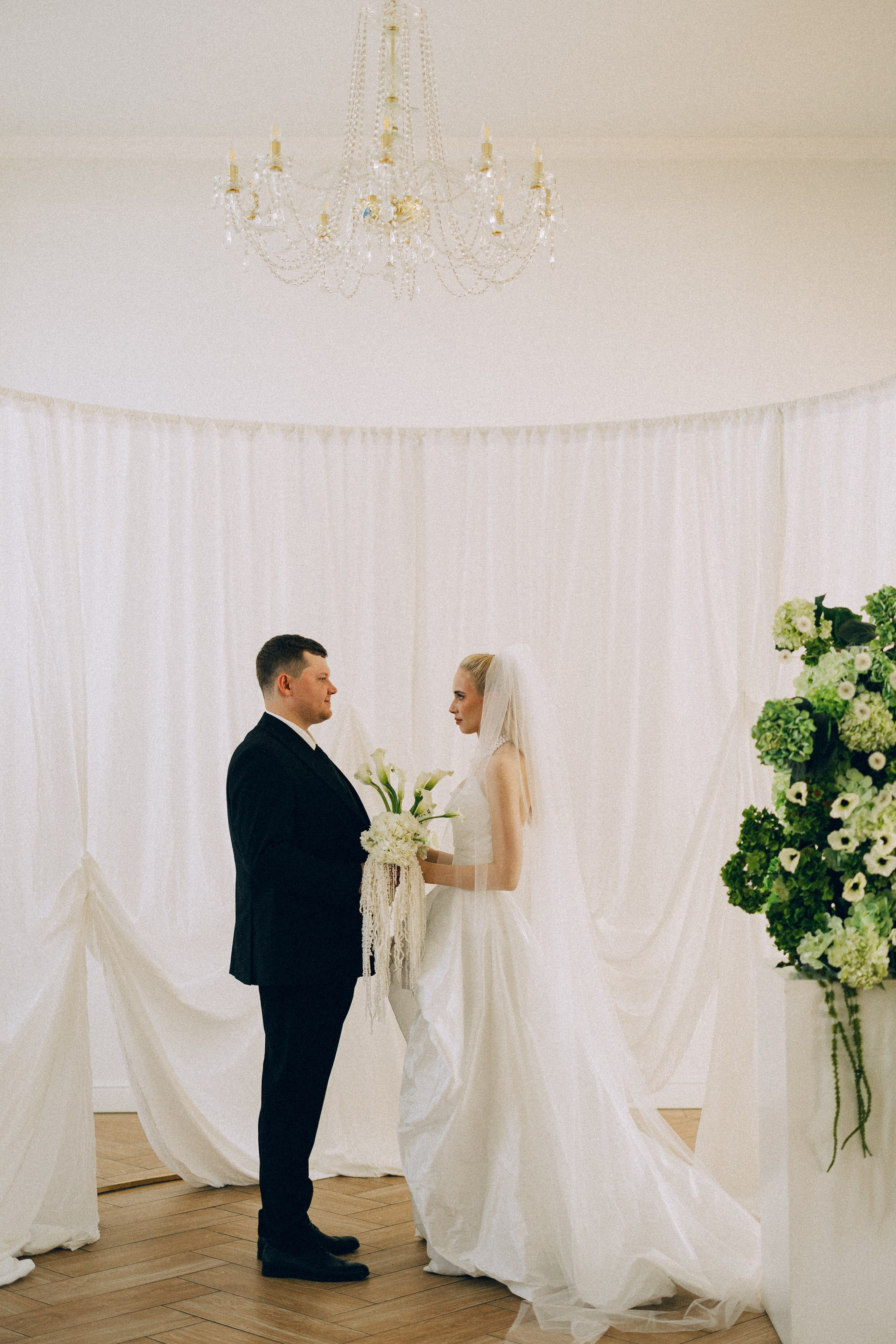 Dandelions. Daria Chigintseva Photographer