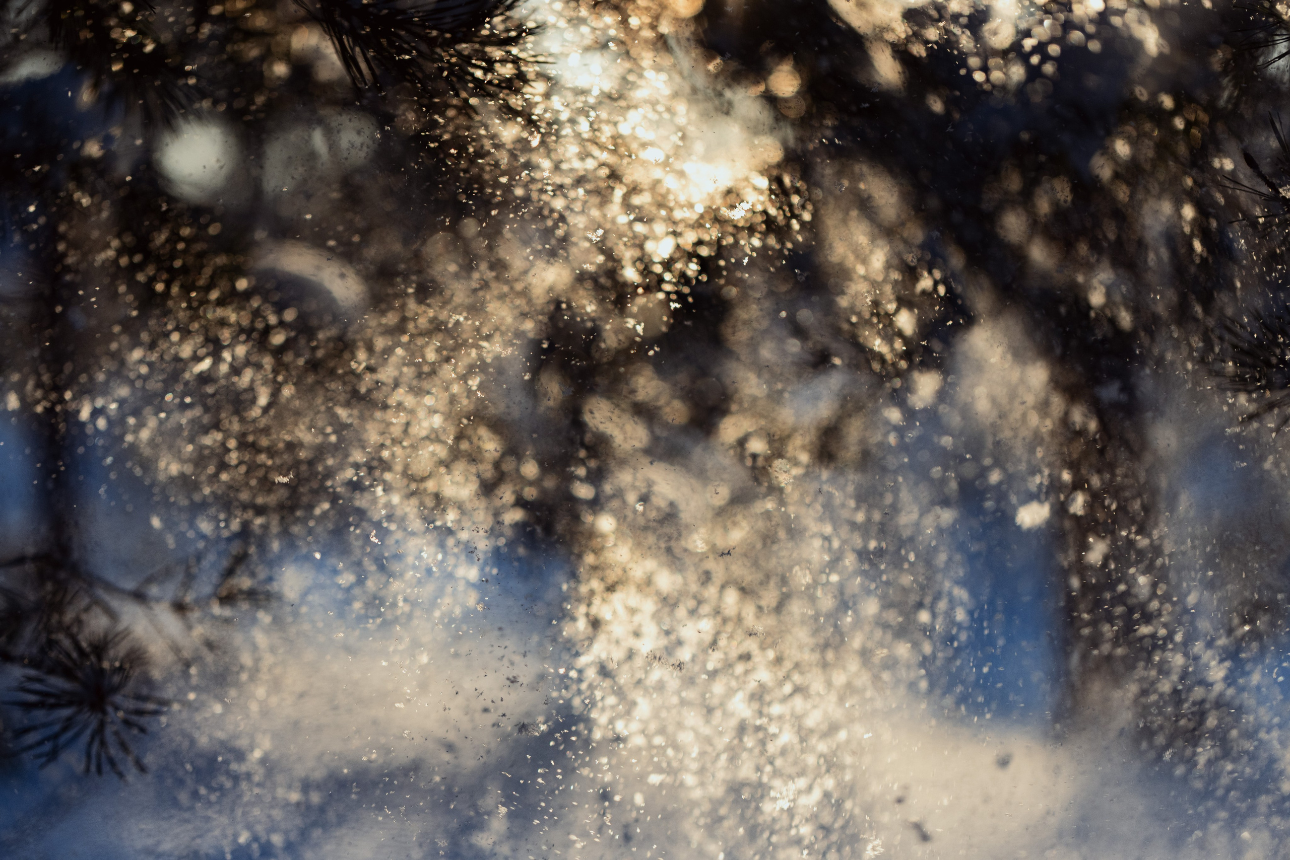 Пейзаж. Фотограф Артем Павлов