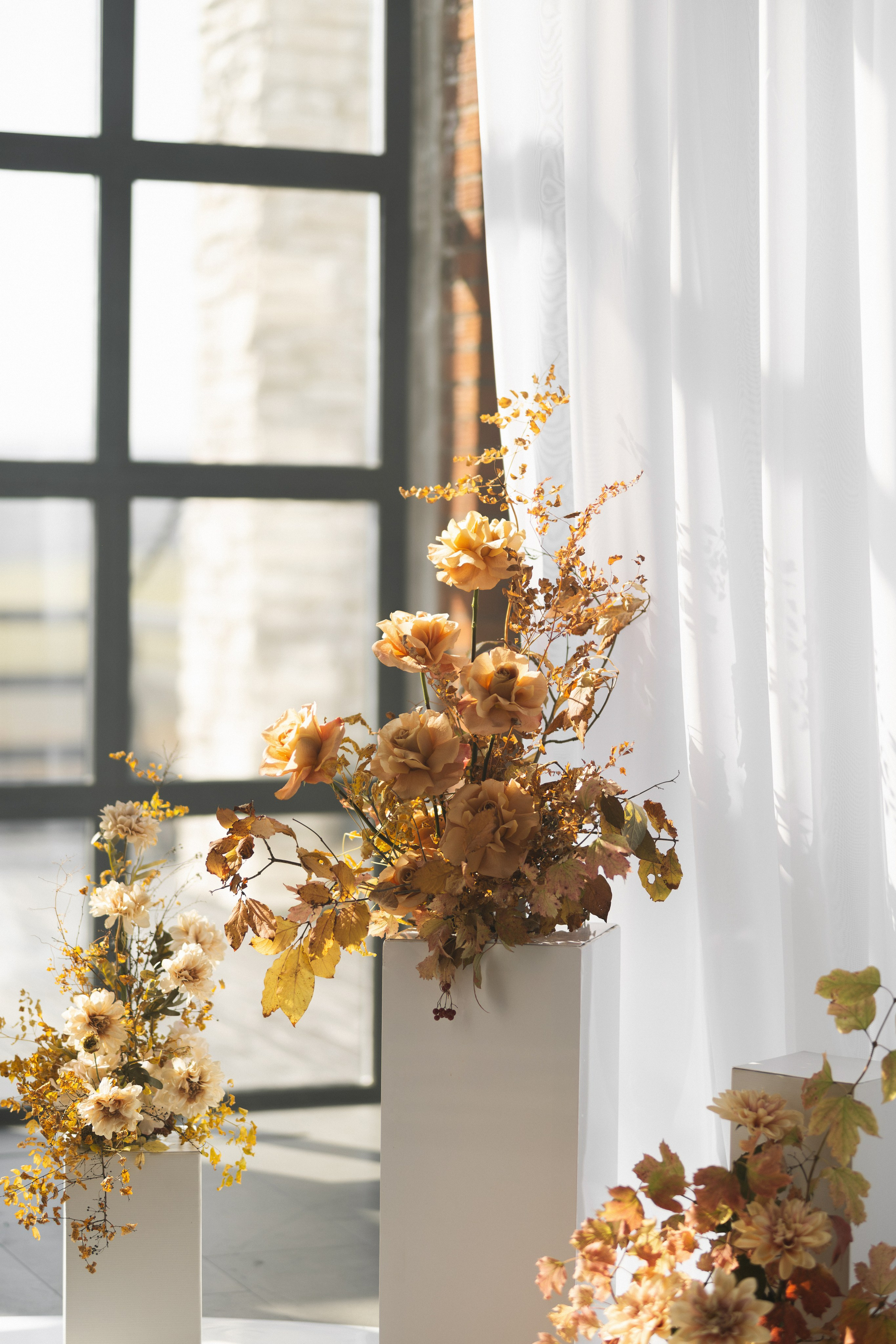 «В ОБЪЯТИЯХ ОСЕНИ». Maria Startseva Photo