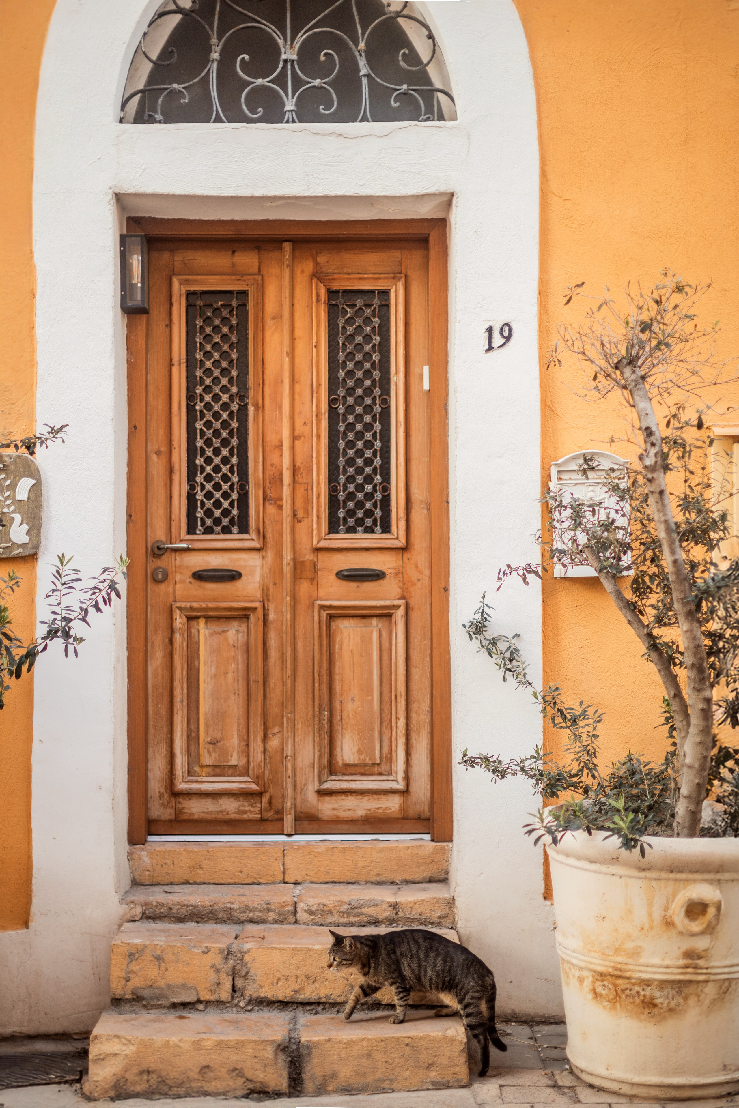 Прогулка по Тель-Авиву. צלם ואמן ילדים ומשפחה