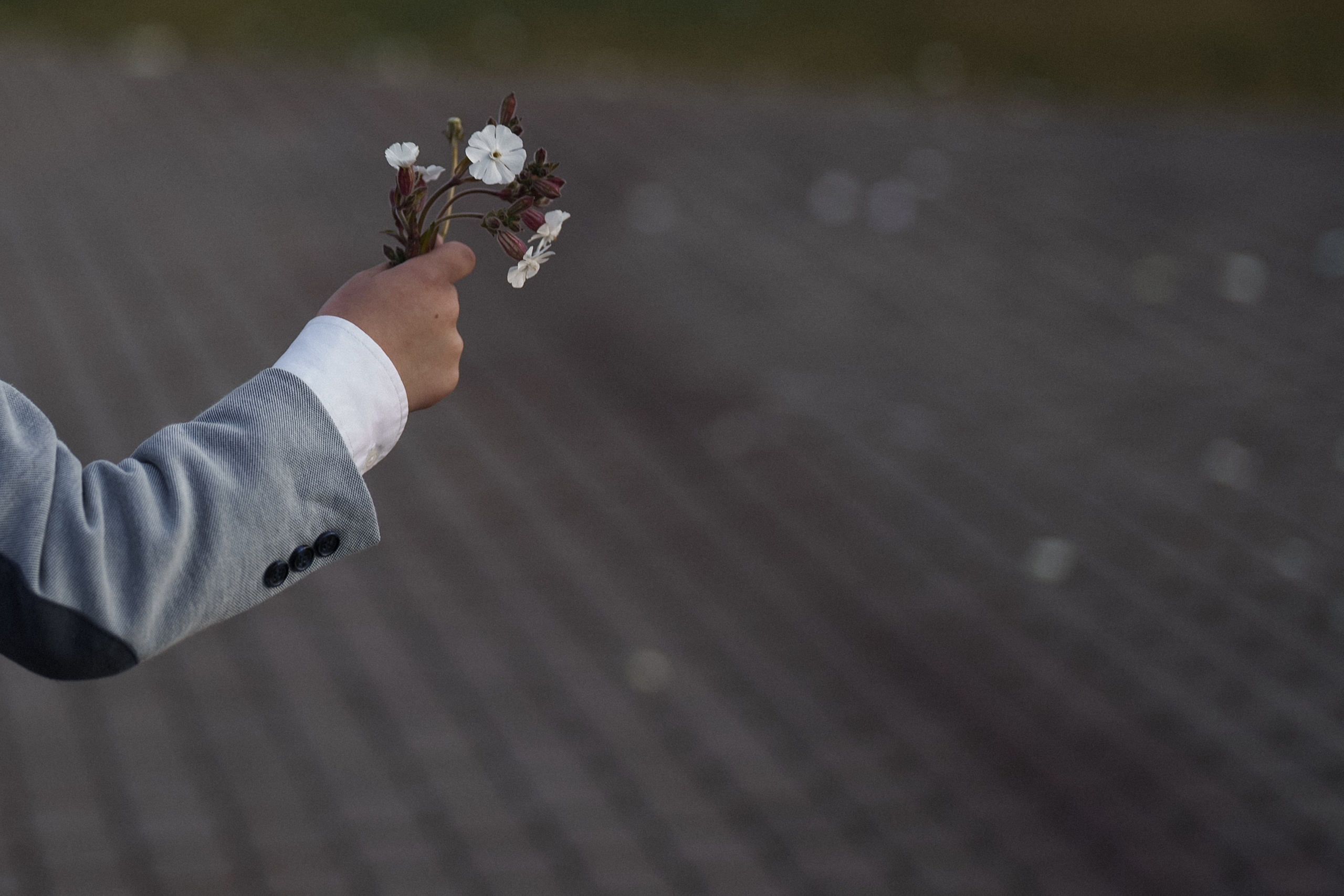 Июнь в Зените. Фотограф в Санкт-Петербурге Александр Дымов