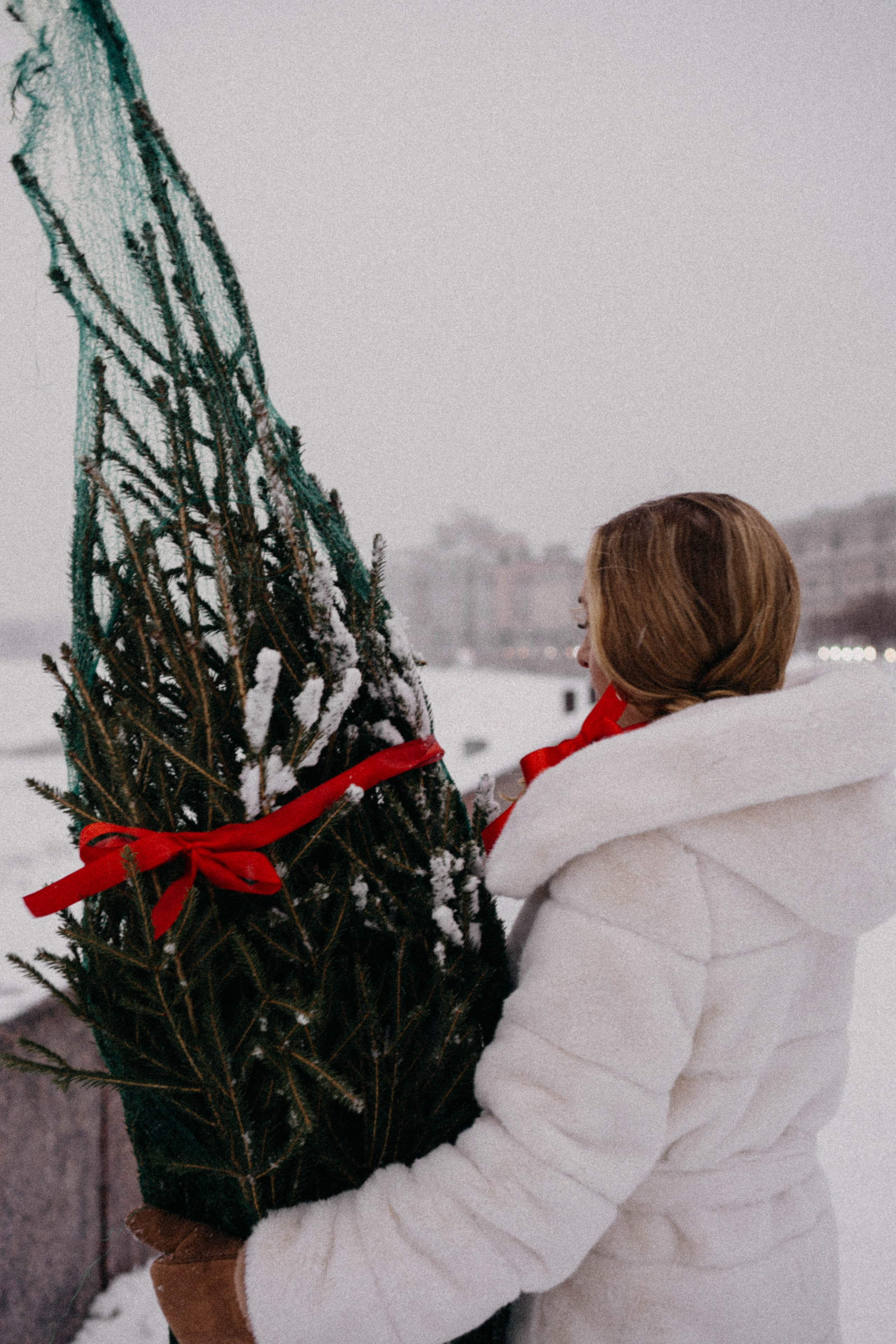 Новогодняя. Профессиональный фотограф, Санкт-Петербург — Виктория Богомолова