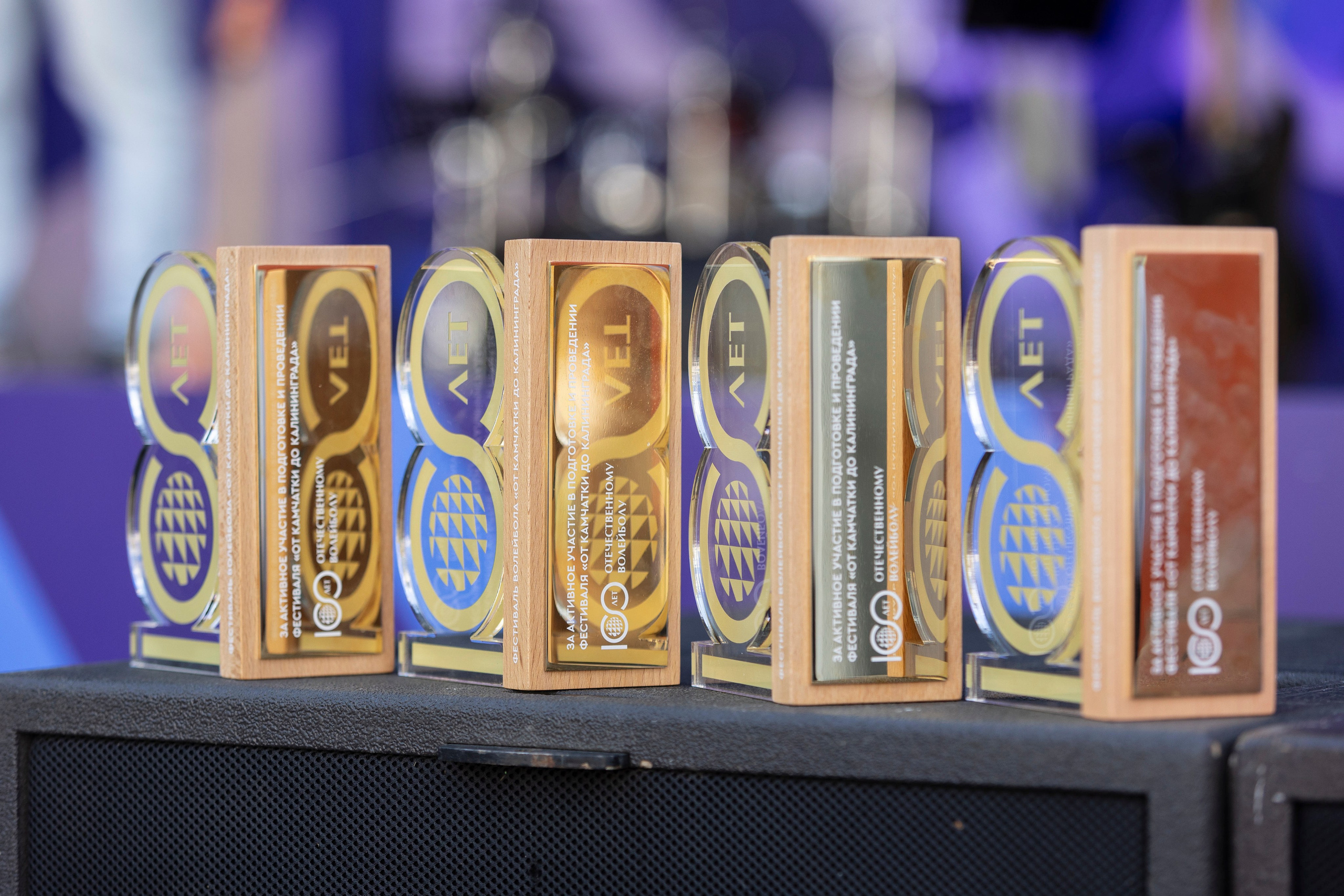 100 ЛЕТ ОТЕЧЕСТВЕННОМУ ВОЛЕЙБОЛУ. Фотограф Георгий Нигматулин