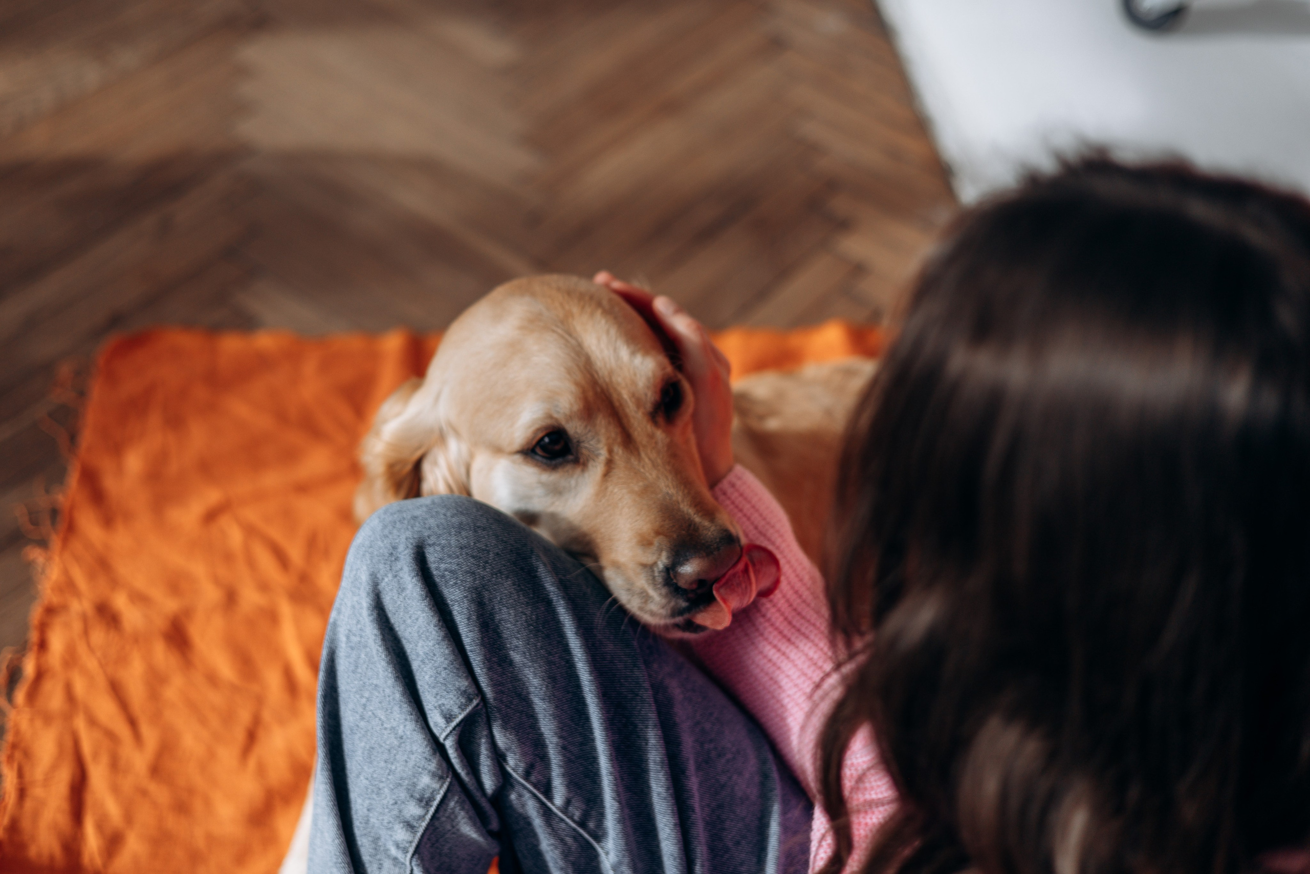 Марина и Чили. Фотограф — Анималист | Санкт-Петербург