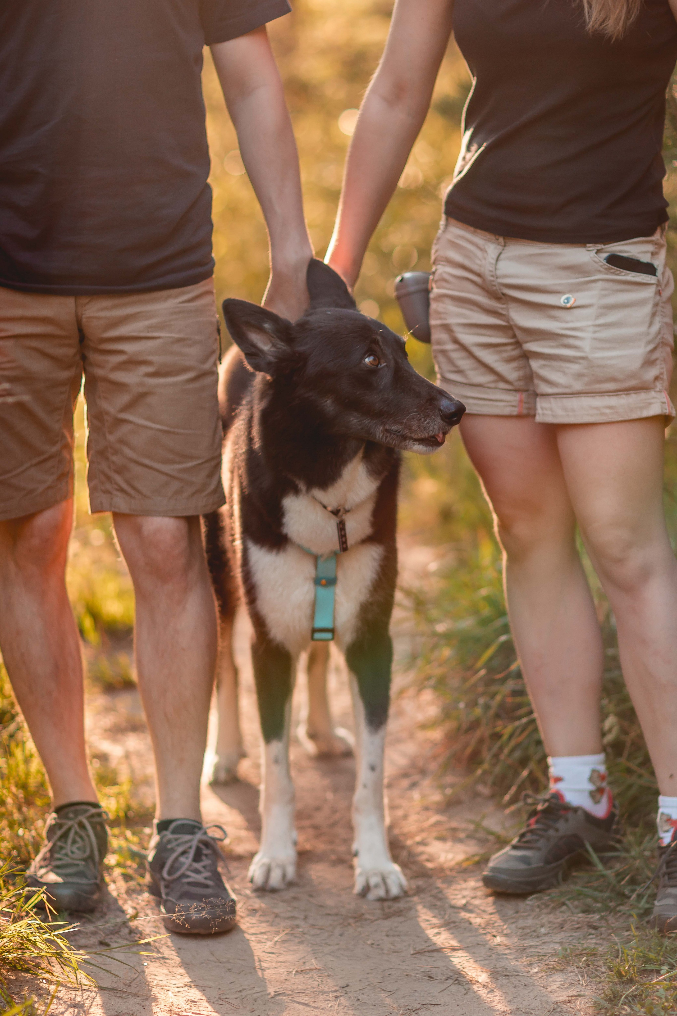 Космос и его люди. Семейный фотограф анималист Мария Крючкова