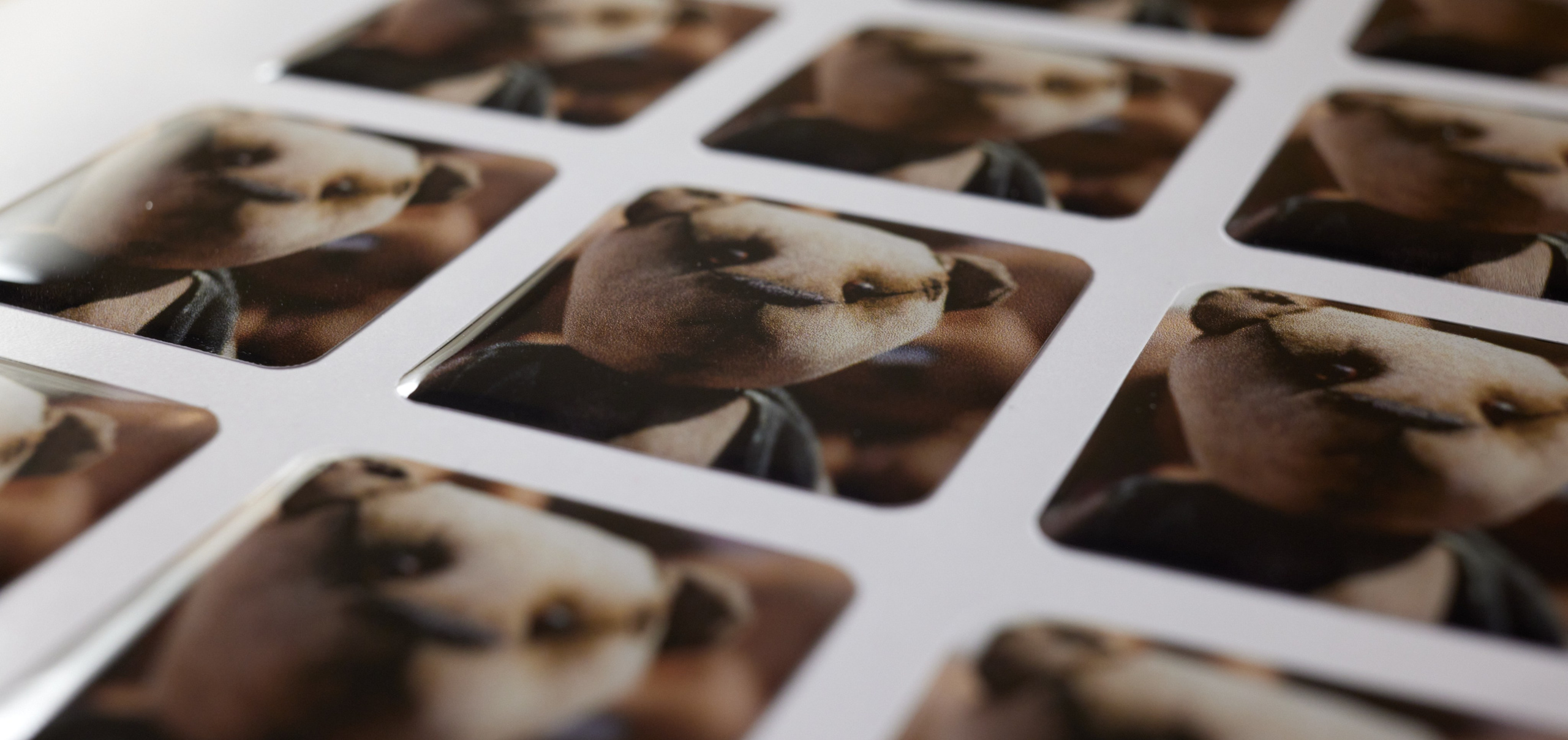 Полимерная этикетка. Имидж Технологии — Производство сувенирных магнитов, заливных этикеток и значков. Репортажная фотография в Кирове Кировской области