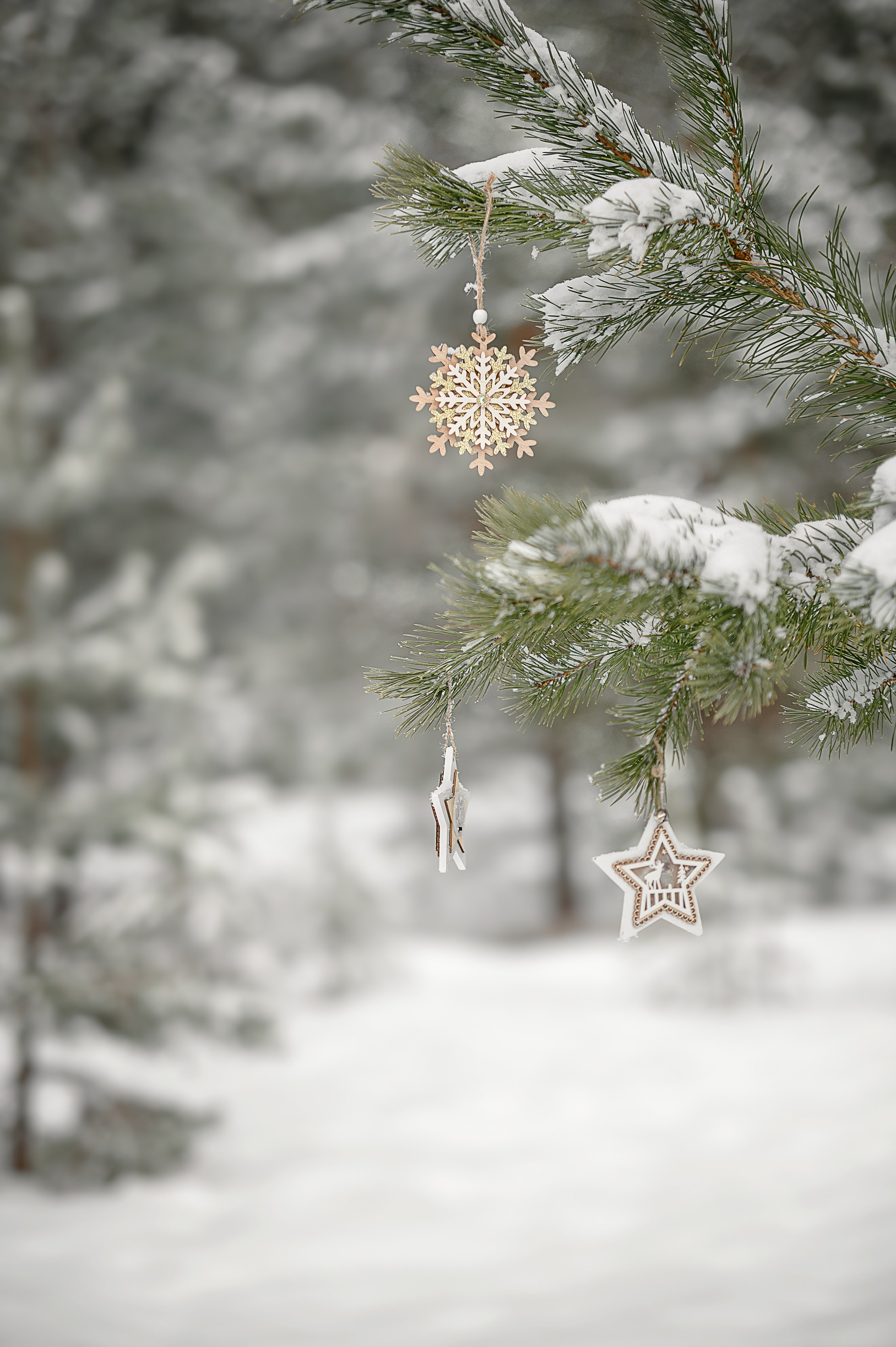 Зимняя, сказочная. Семейный и детский фотограф в Шатках и Арзамасе Александра Магомедова