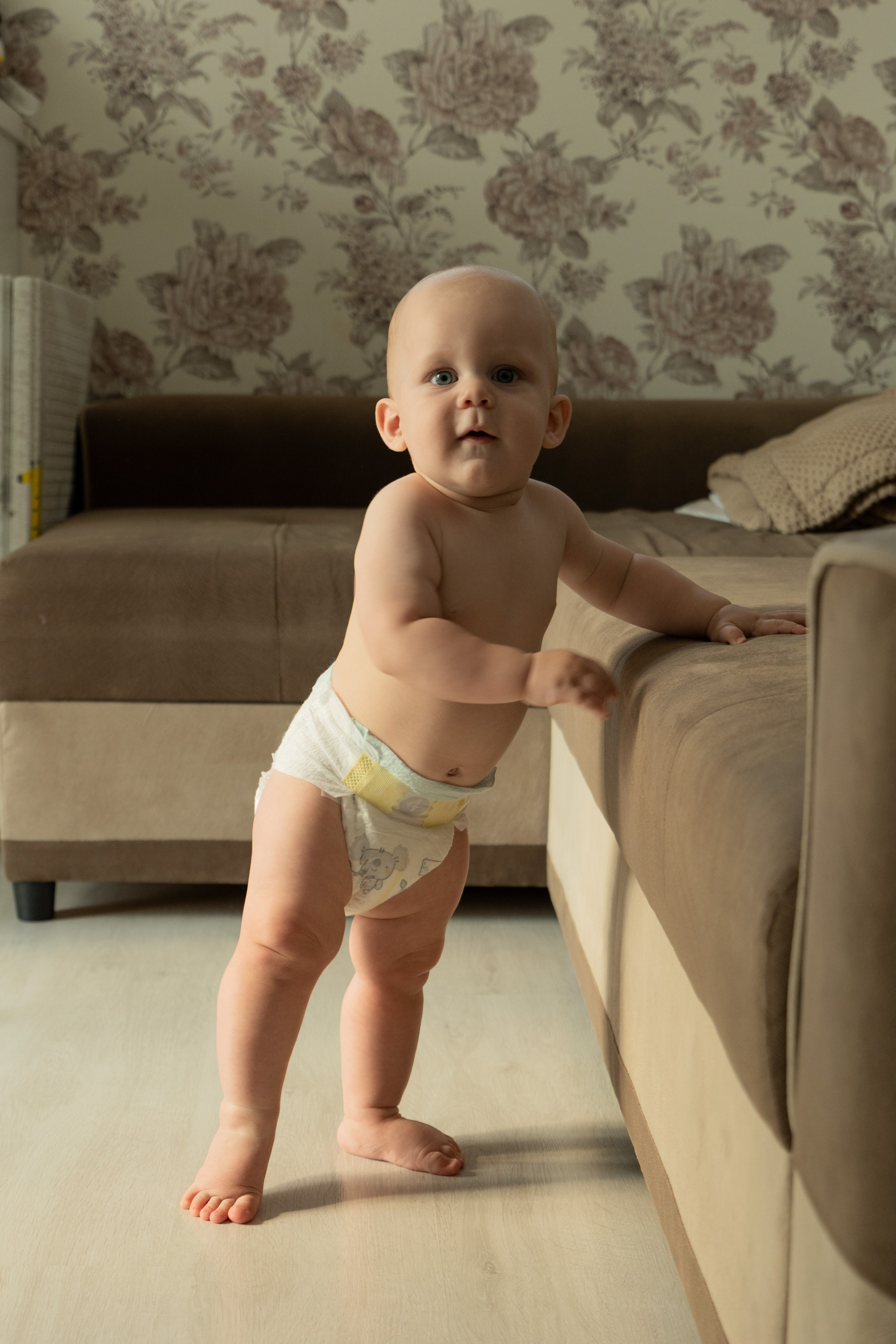 Лёве 8 месяцев. Фотограф видеограф Ольга Василевская