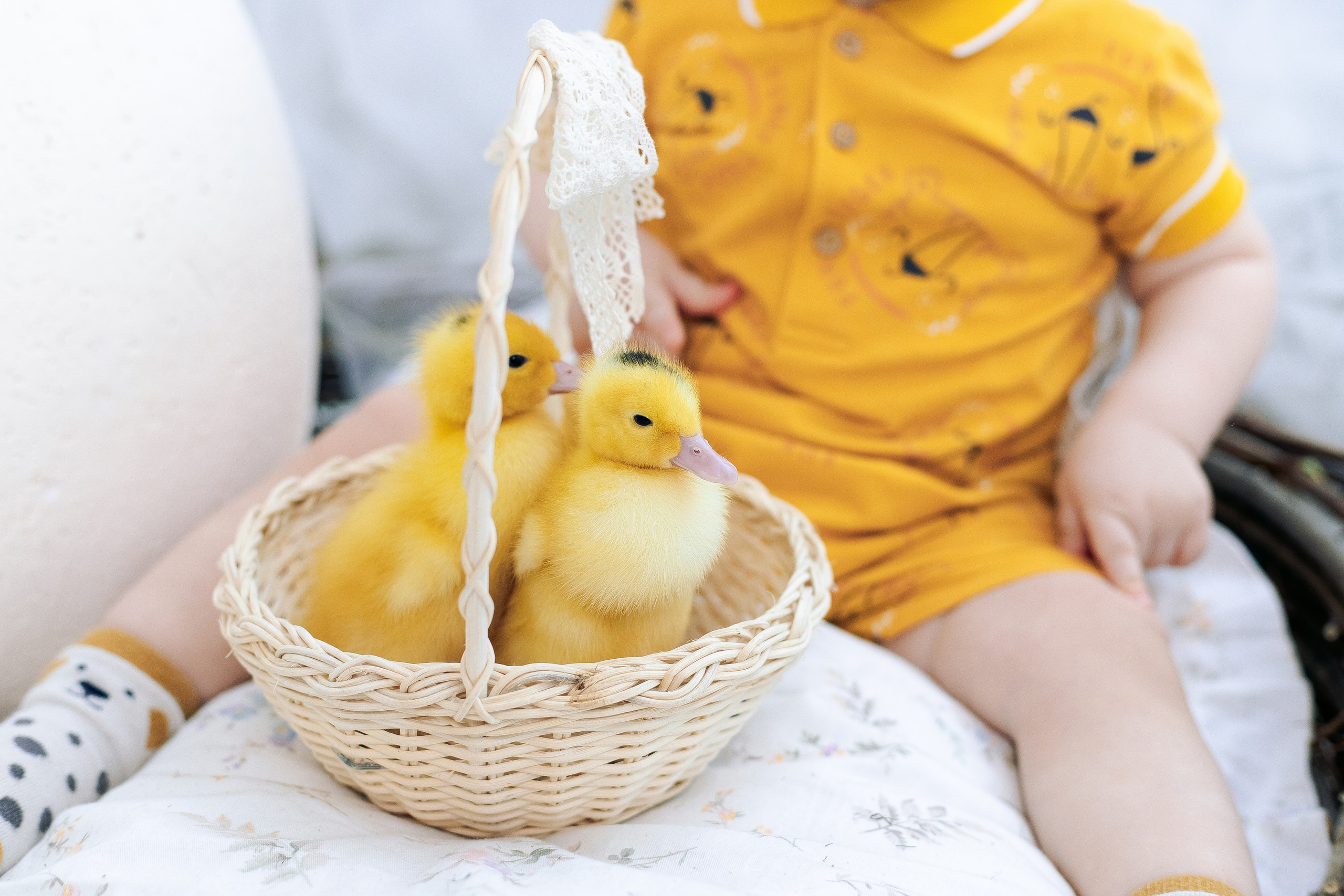 Пасхальный фотодень фотостудия Daily. Фотограф в Санкт-Петербурге, Анна Скворцова