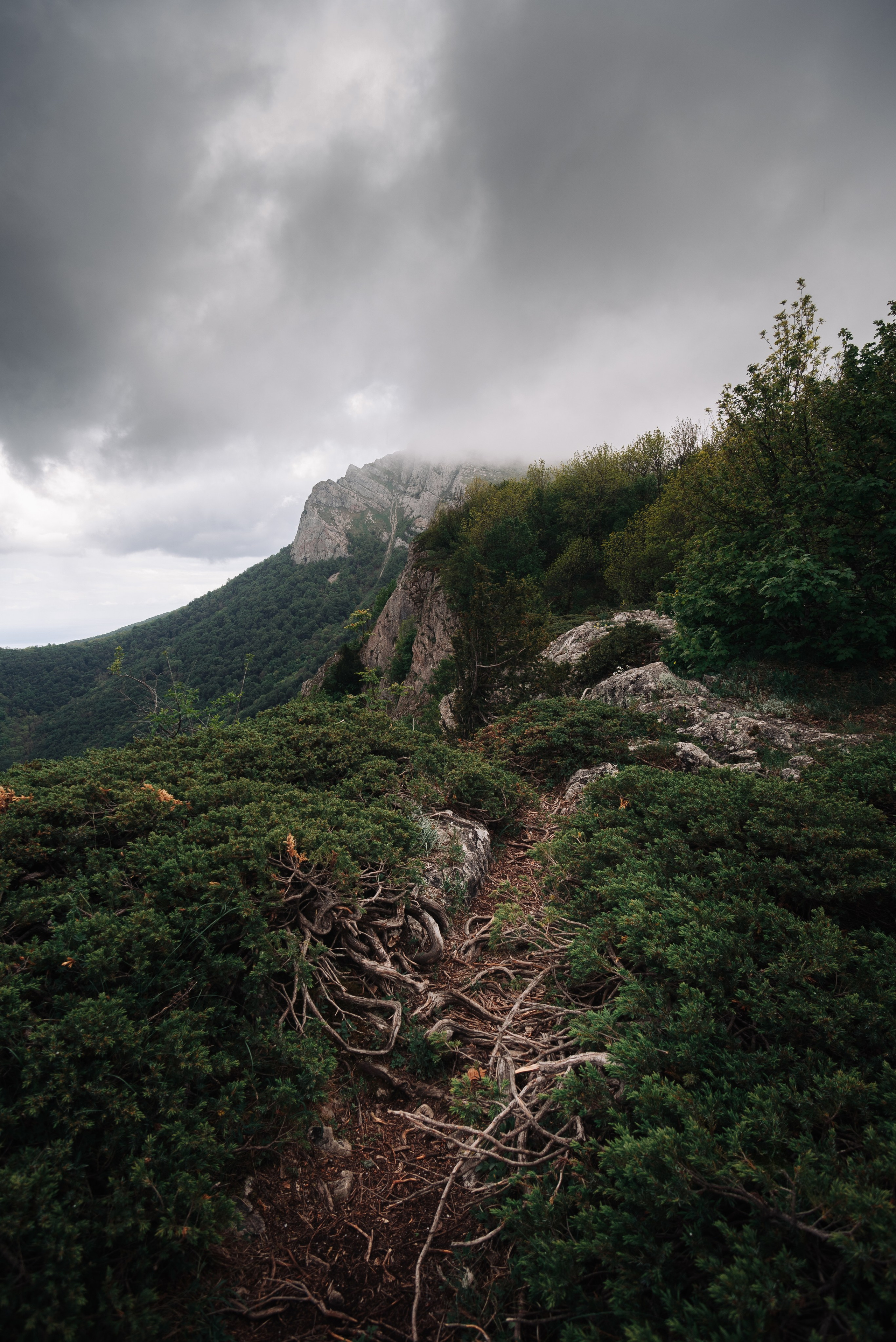 Пейзажи. Дмитрий Шалыгин — Ваш фотограф в Севастополе и Крыму