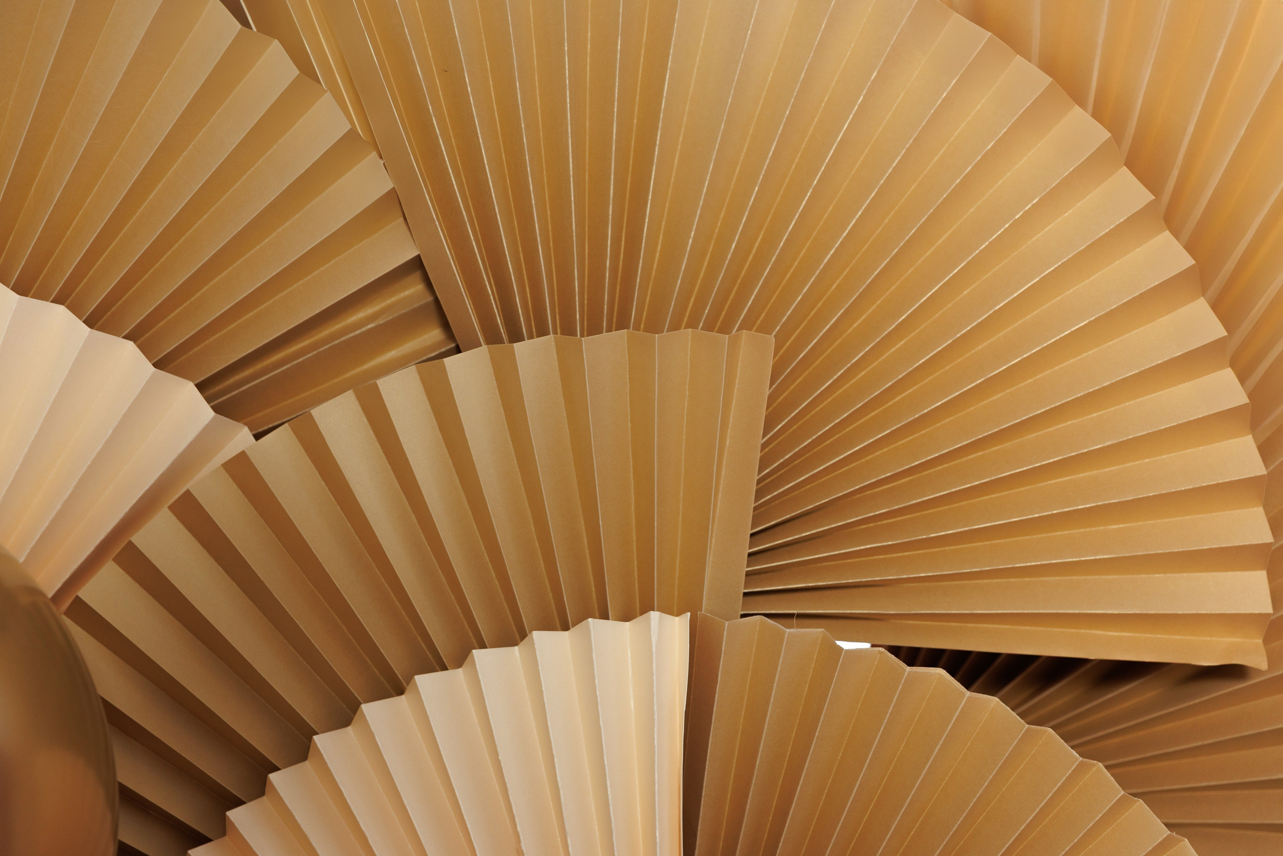 Репортаж. Игорь Панкратов | Фотограф Ставрополь