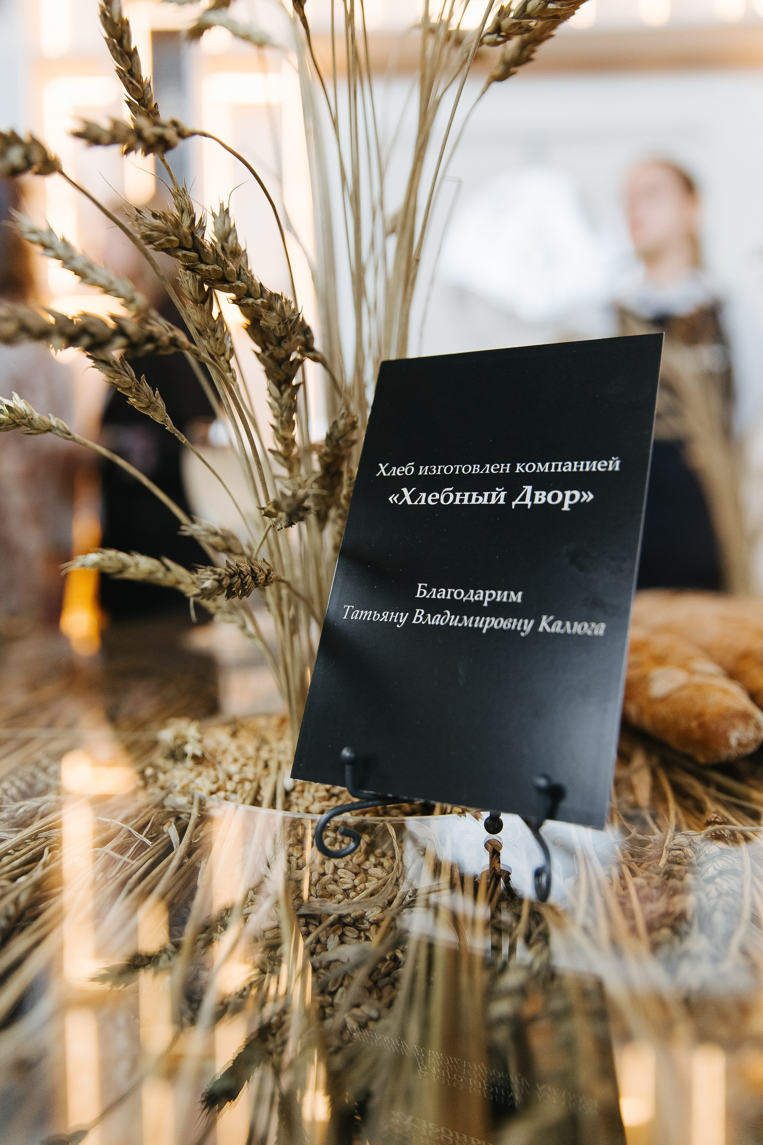 Сосны. Фотограф в Красноярске Любовь Малеева