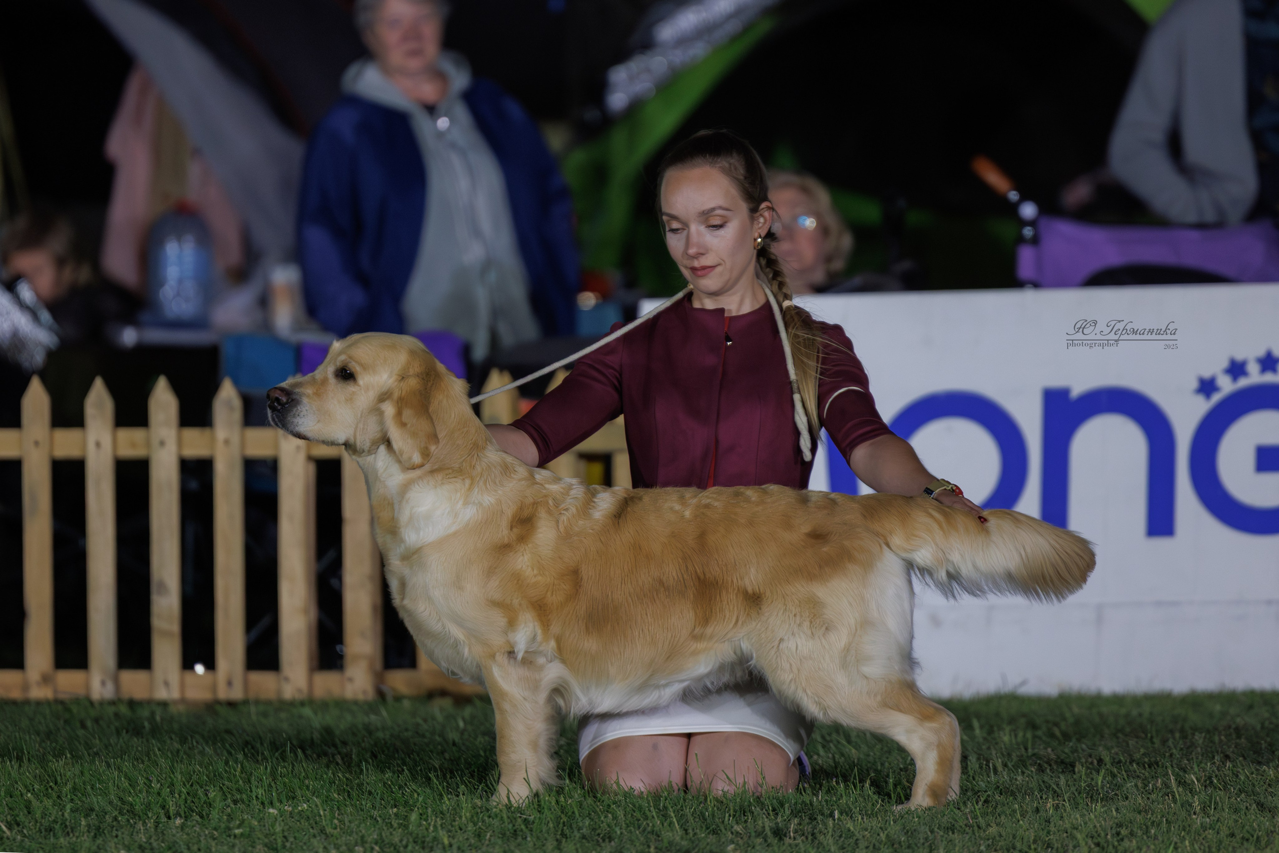 Ереван 3хCACIB 23-25.06.2025. Фотограф-анималист Юлия Германика