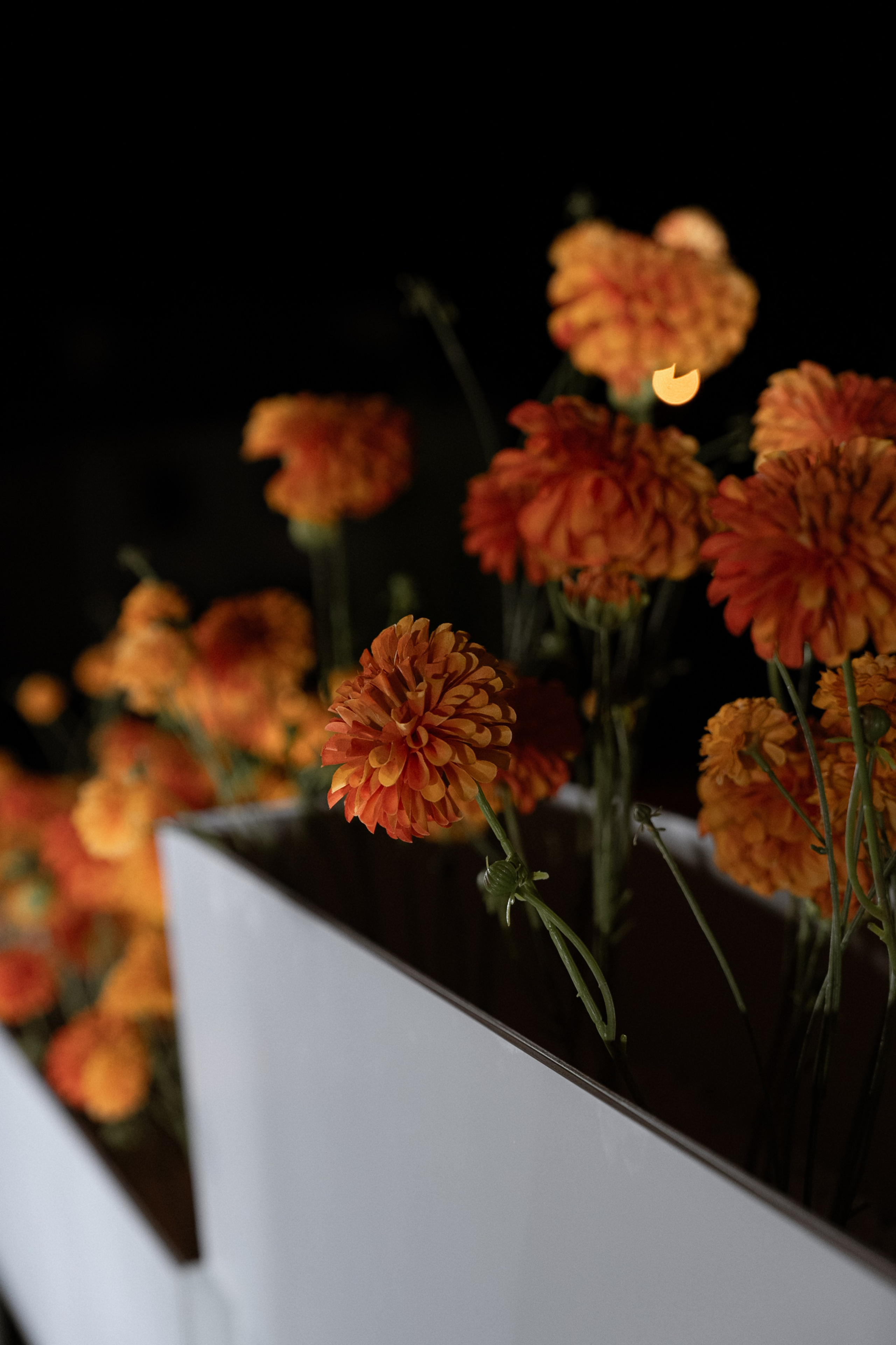 Гермес. Orange. Семейный и портретный фотограф в Саратове Сахарова Маша