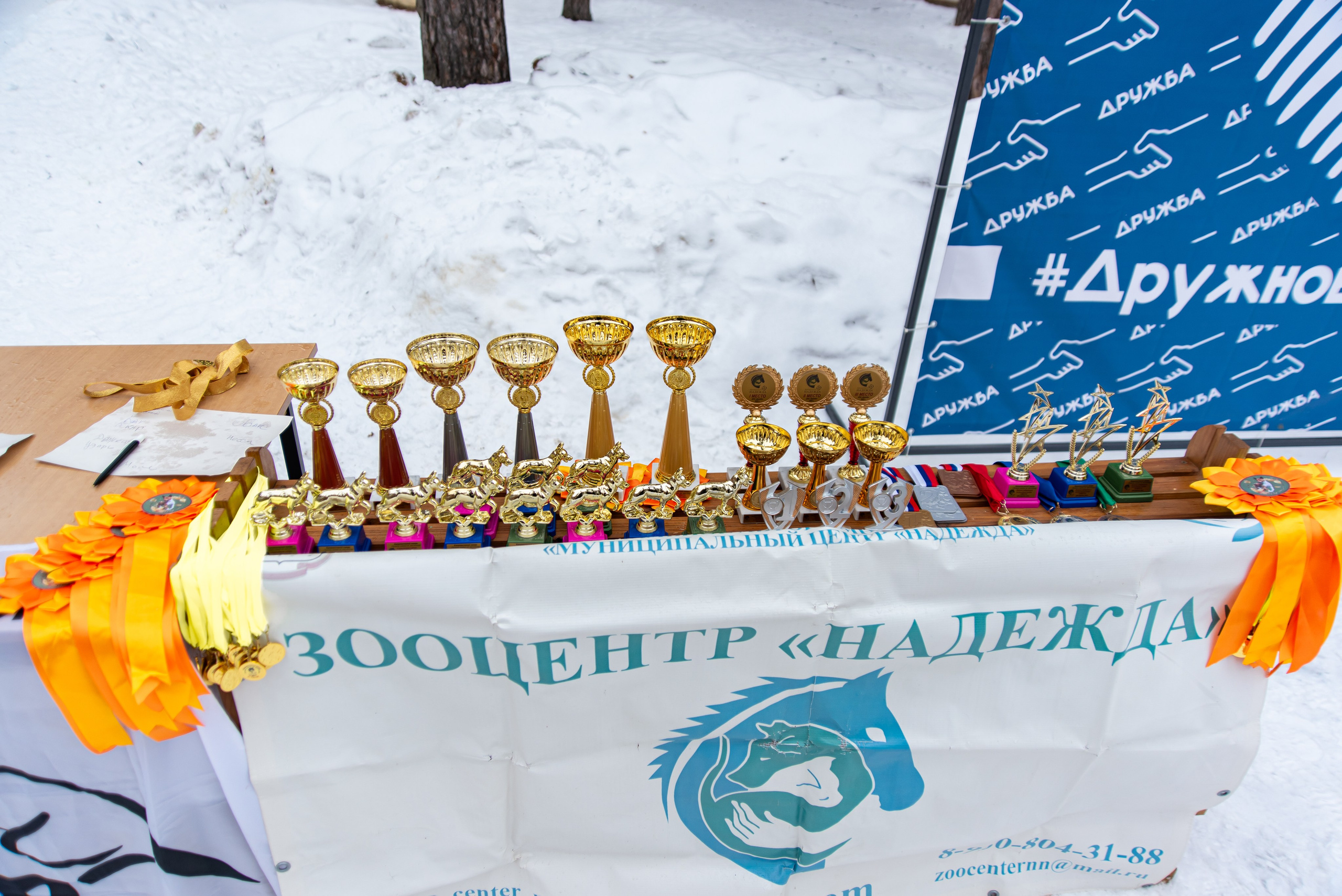 Фотосъёмка с собаками в Кинологическом лагере. Фотограф Макс Огурцов в Нижнем Новгороде