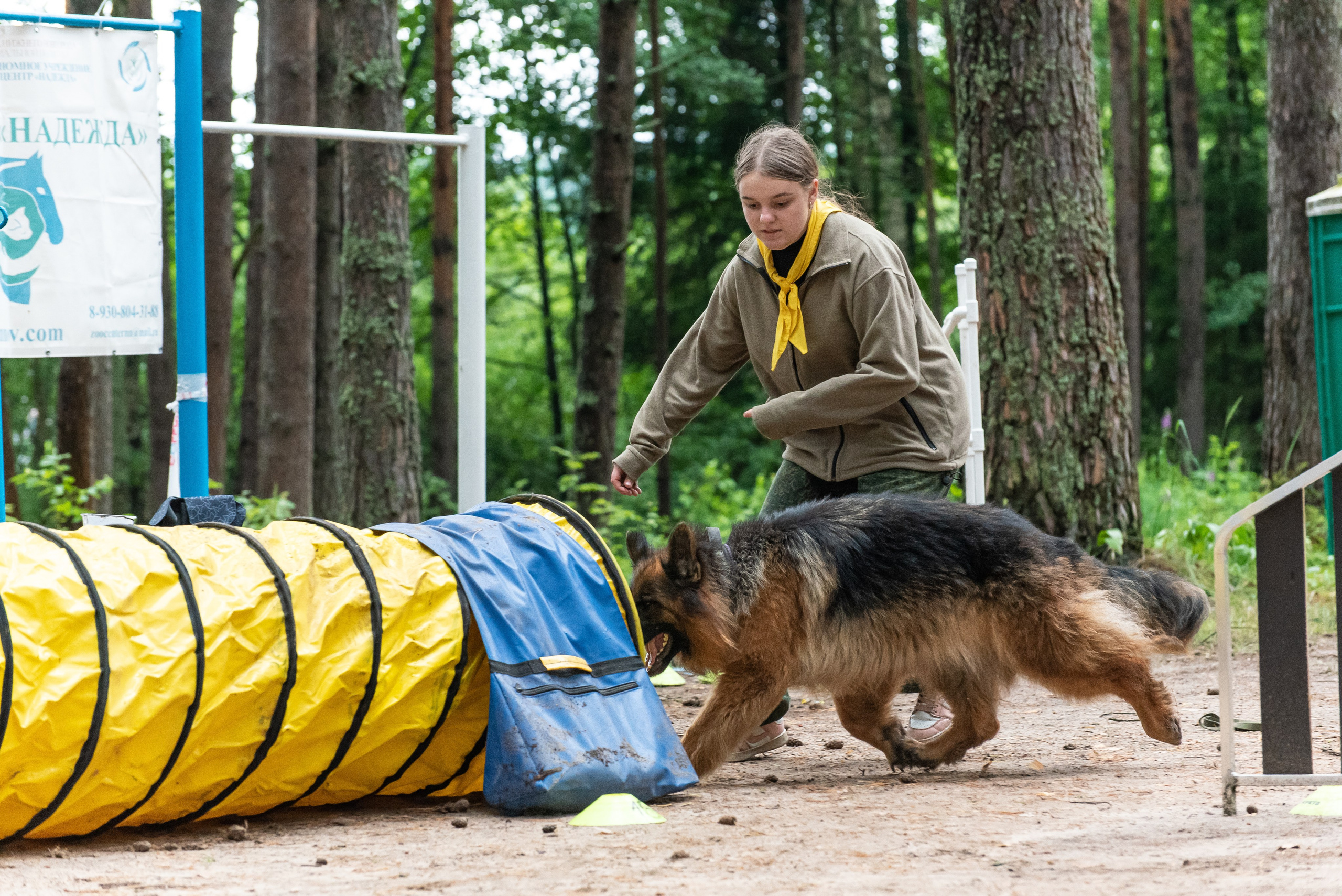 Хвостатые каникулы Детский кинологический лагерь. Фотограф Макс Огурцов в Нижнем Новгороде