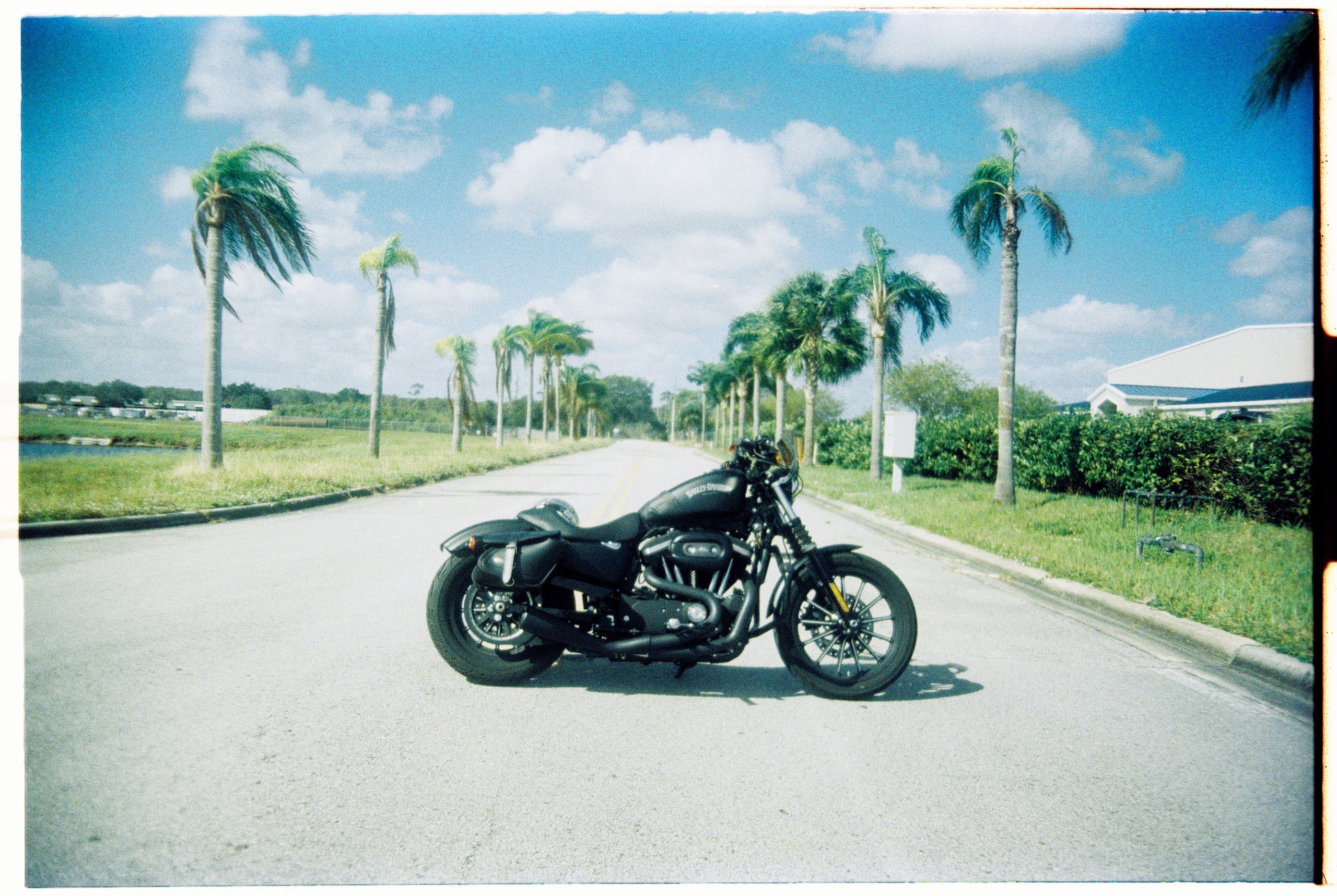 Florida. Егор Фотобрат — Портретный фотограф теперь в Ташкенте