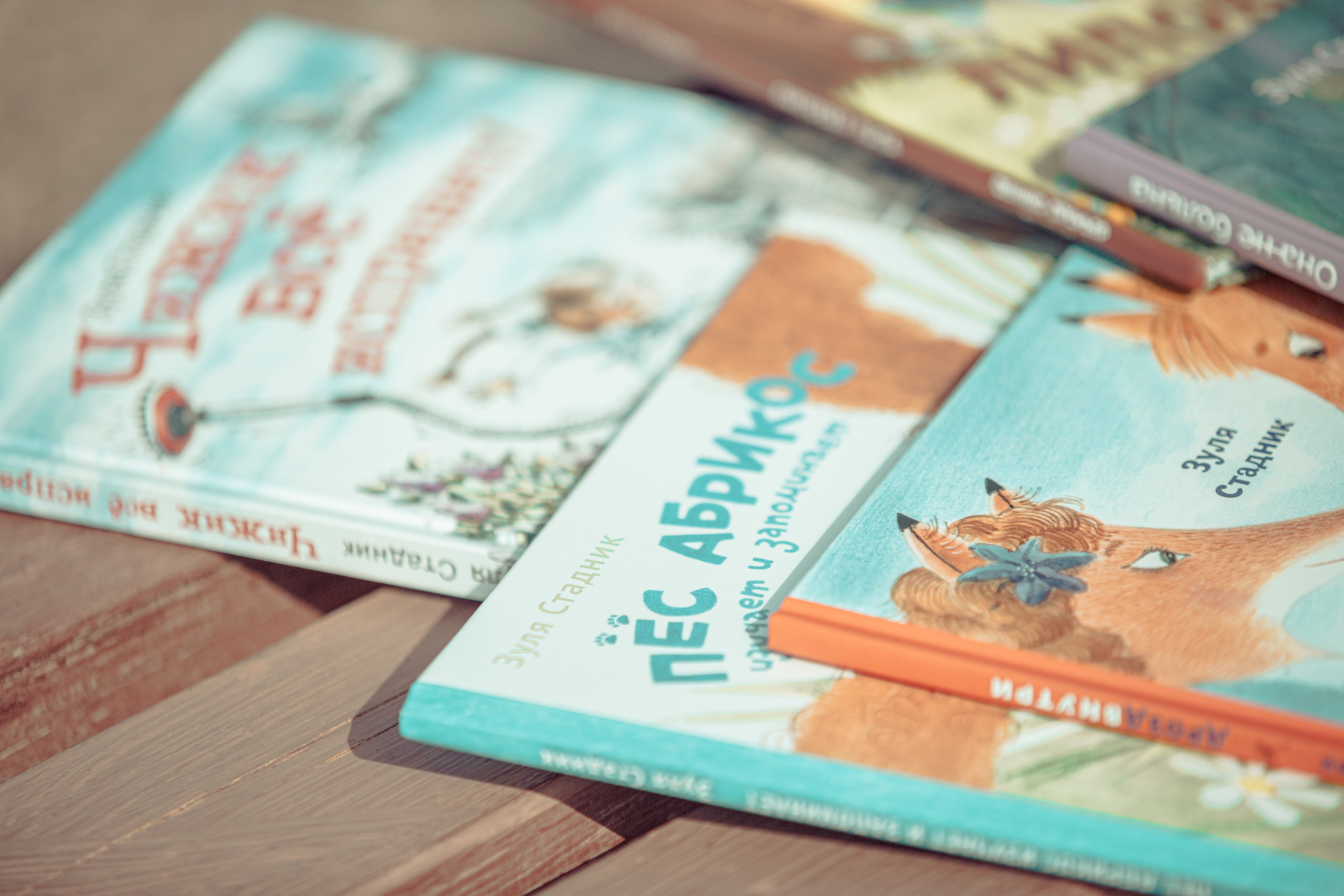 Зуля Стадник, детский писатель. Арт-фотограф Крис Л. в Тобольске: портрет, семейные, свадьбы