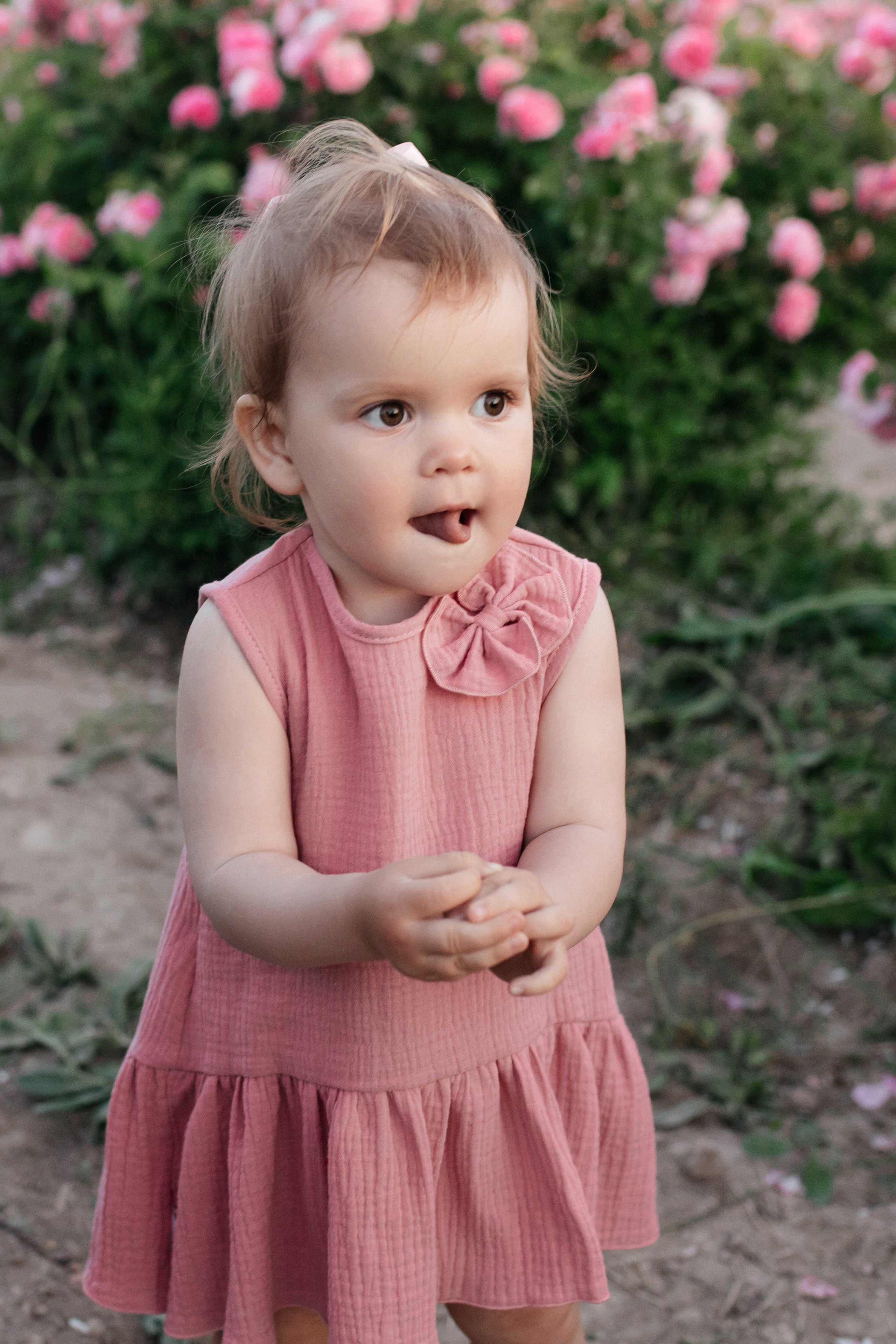 Rose. ФОТОГРАФ