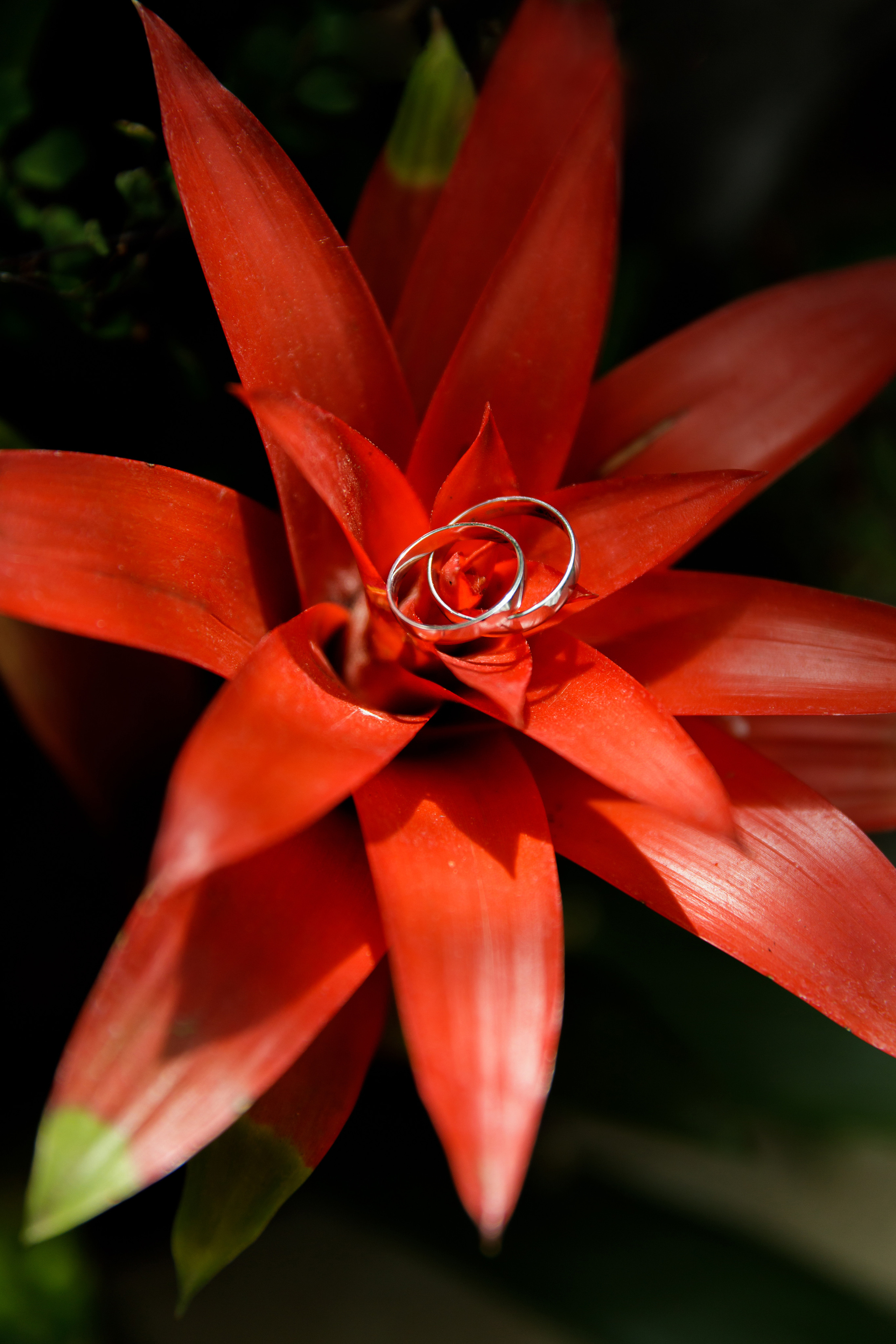 Леонид и Татьяна. Светлана Иванова - профессиональный фотограф