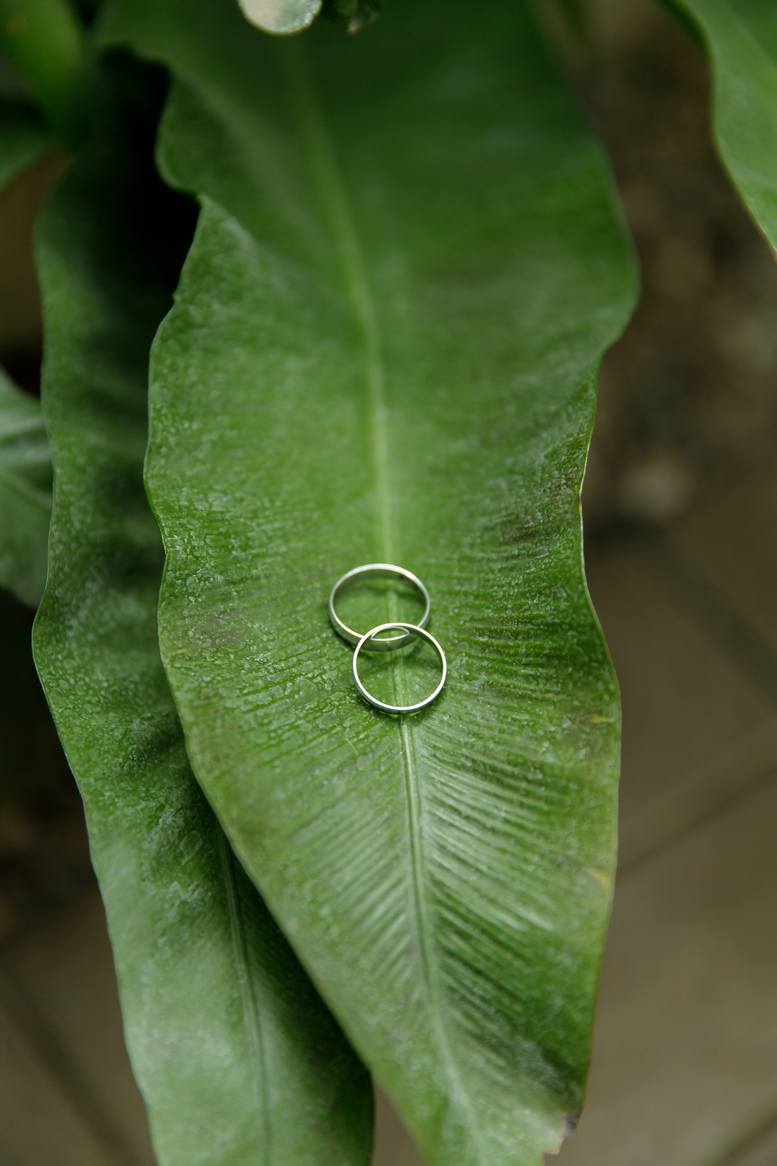 Леонид и Татьяна. Светлана Иванова - профессиональный фотограф