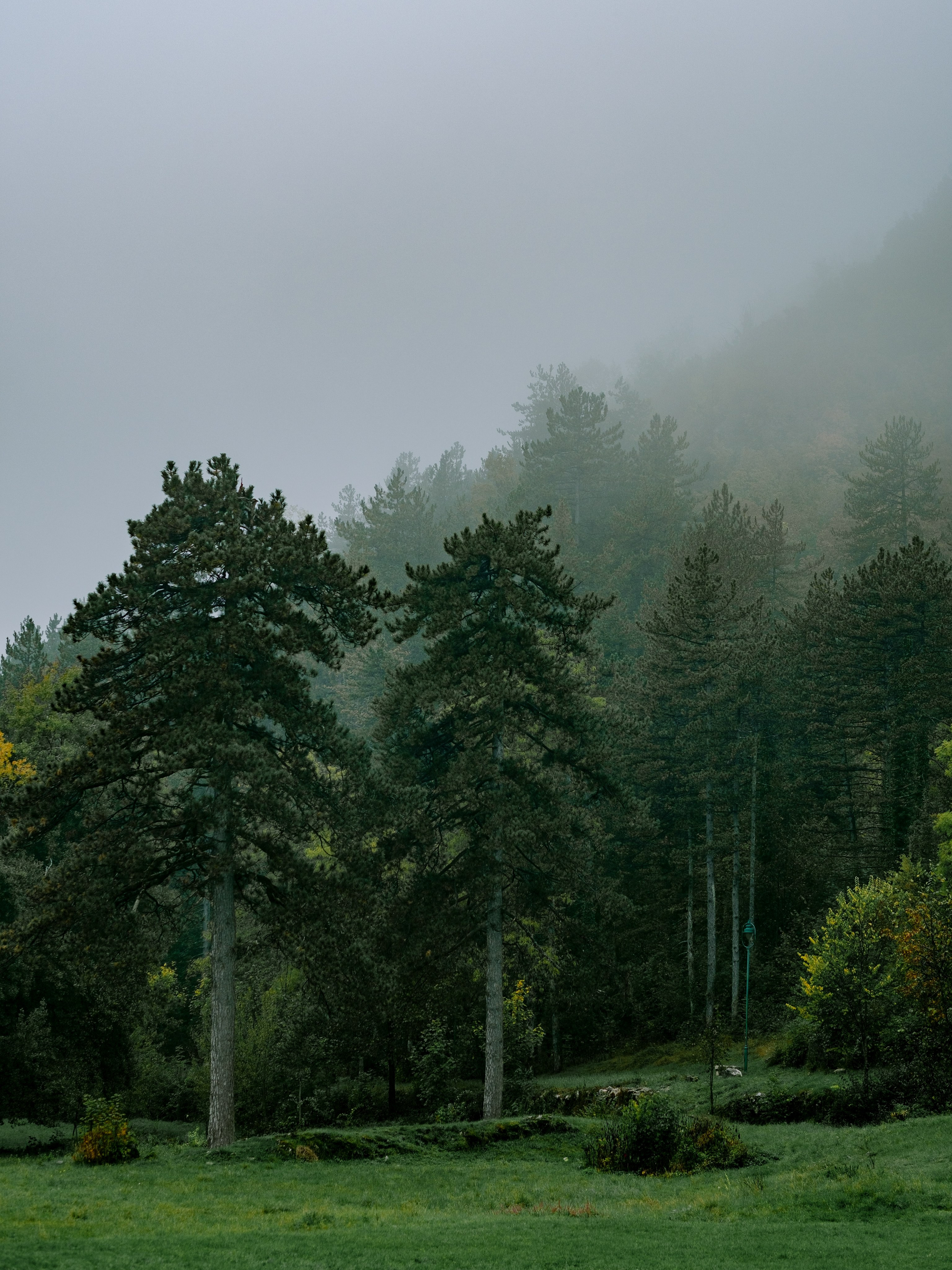 Черногория. Свадебный Видеограф Фотограф в Сочи
