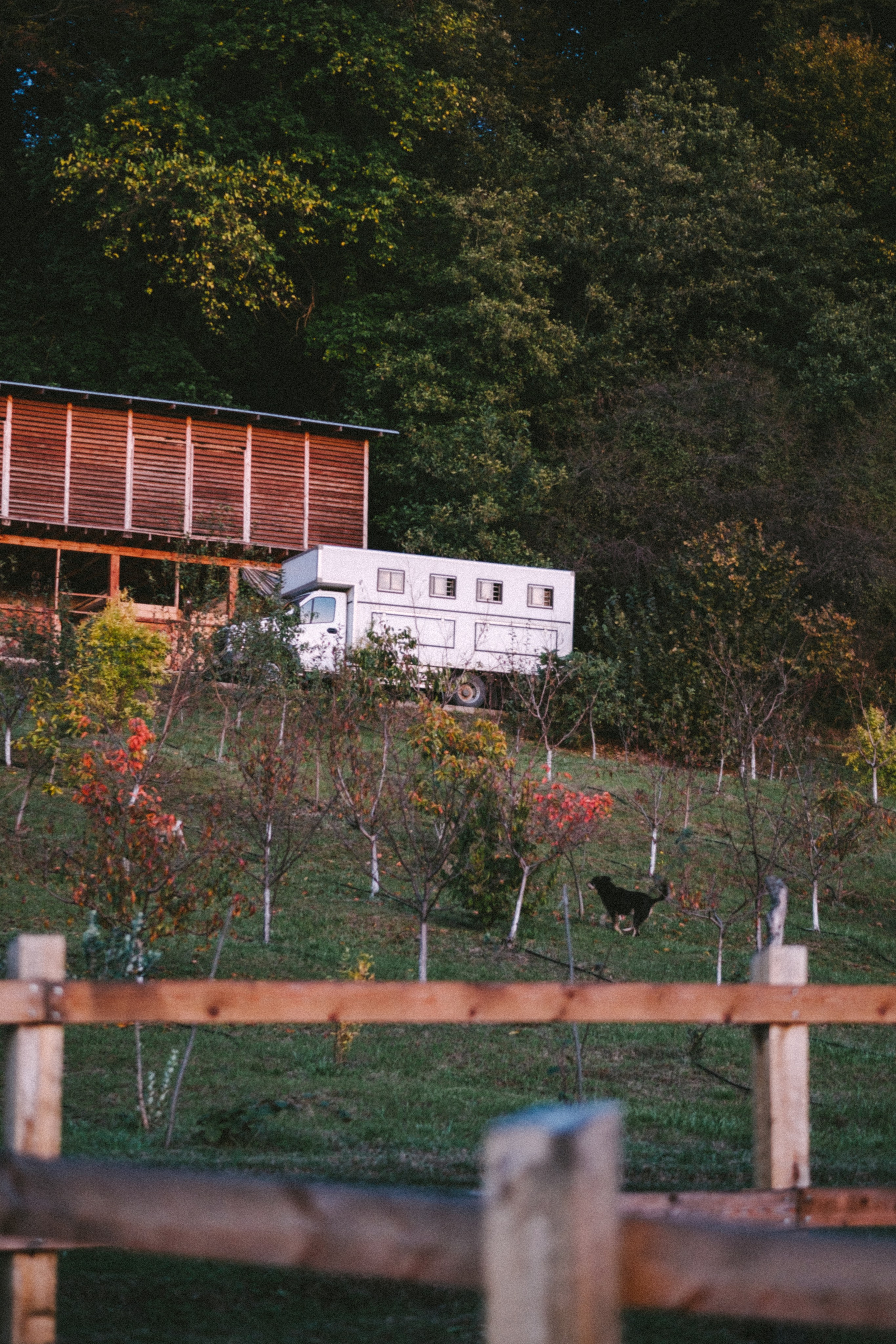 Экзархо. Свадебный Видеограф Фотограф в Сочи