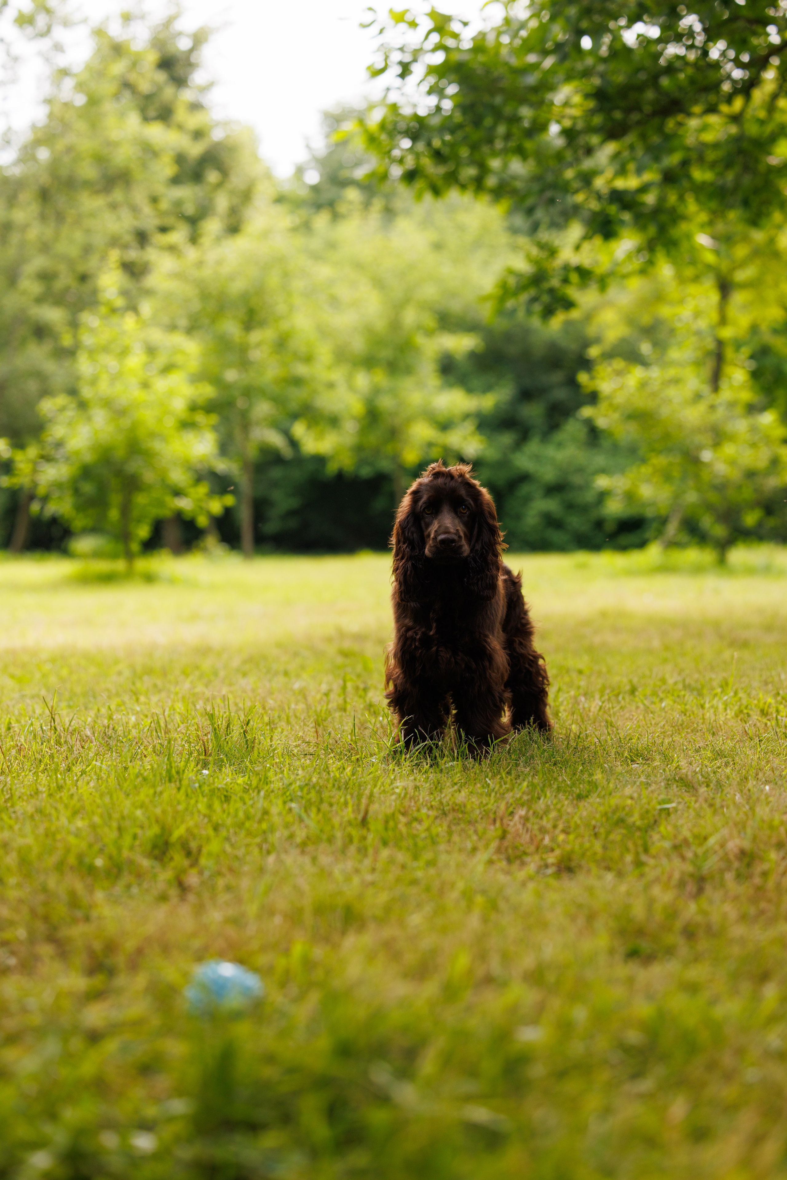 PetShopDays2026. Фотограф Александр Заломаев