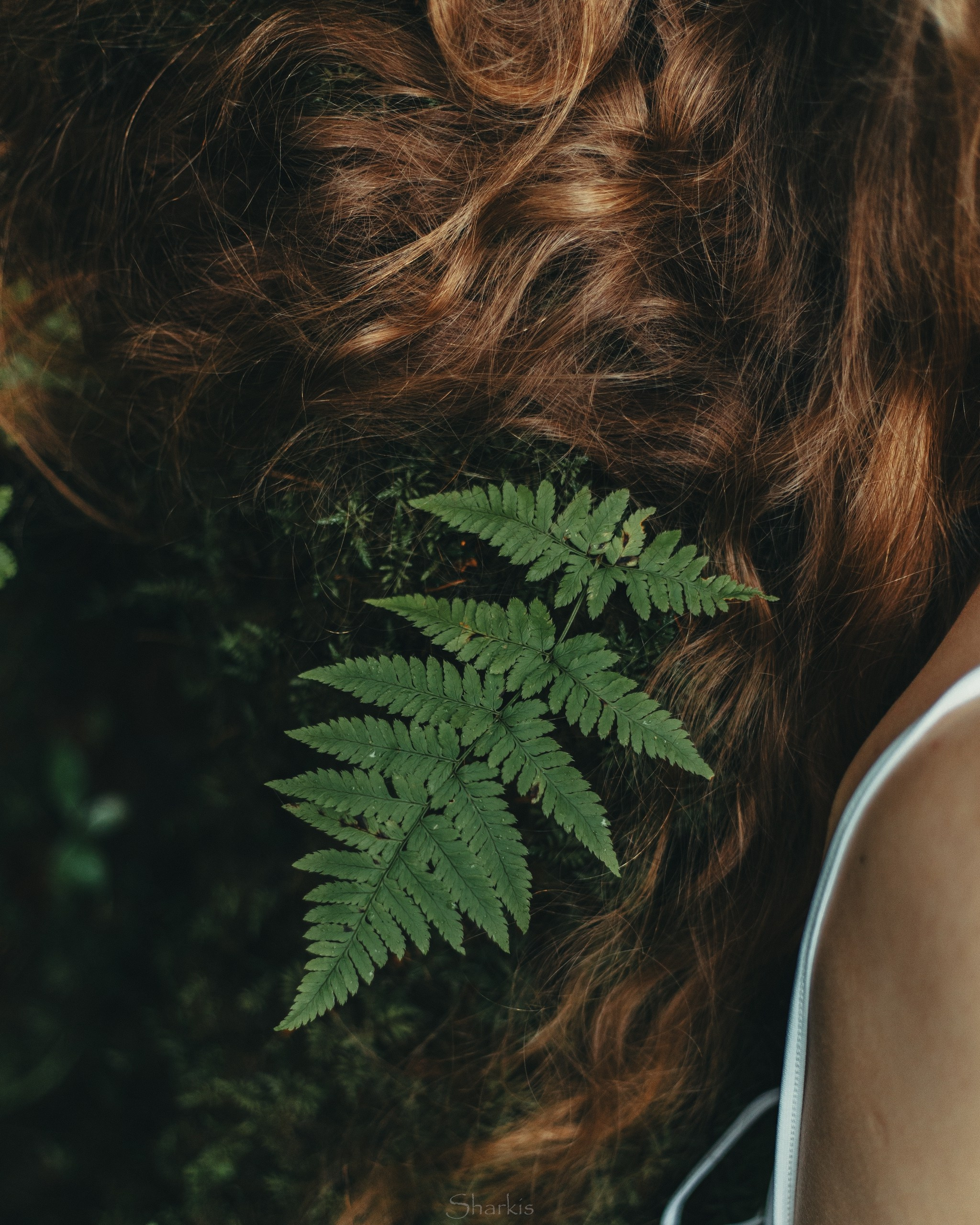 Лиза и Чарли. Главная