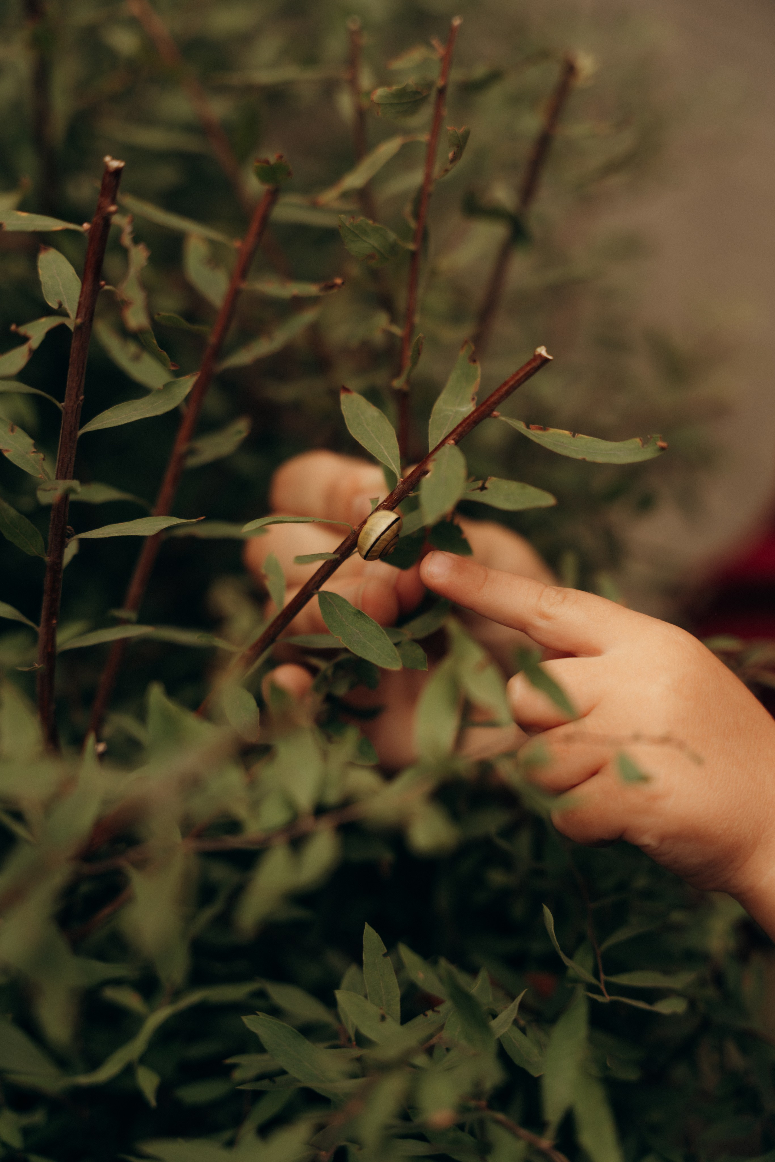 Настя, Руслан и Василиса. Фотограф в Минске — Мария Миллс