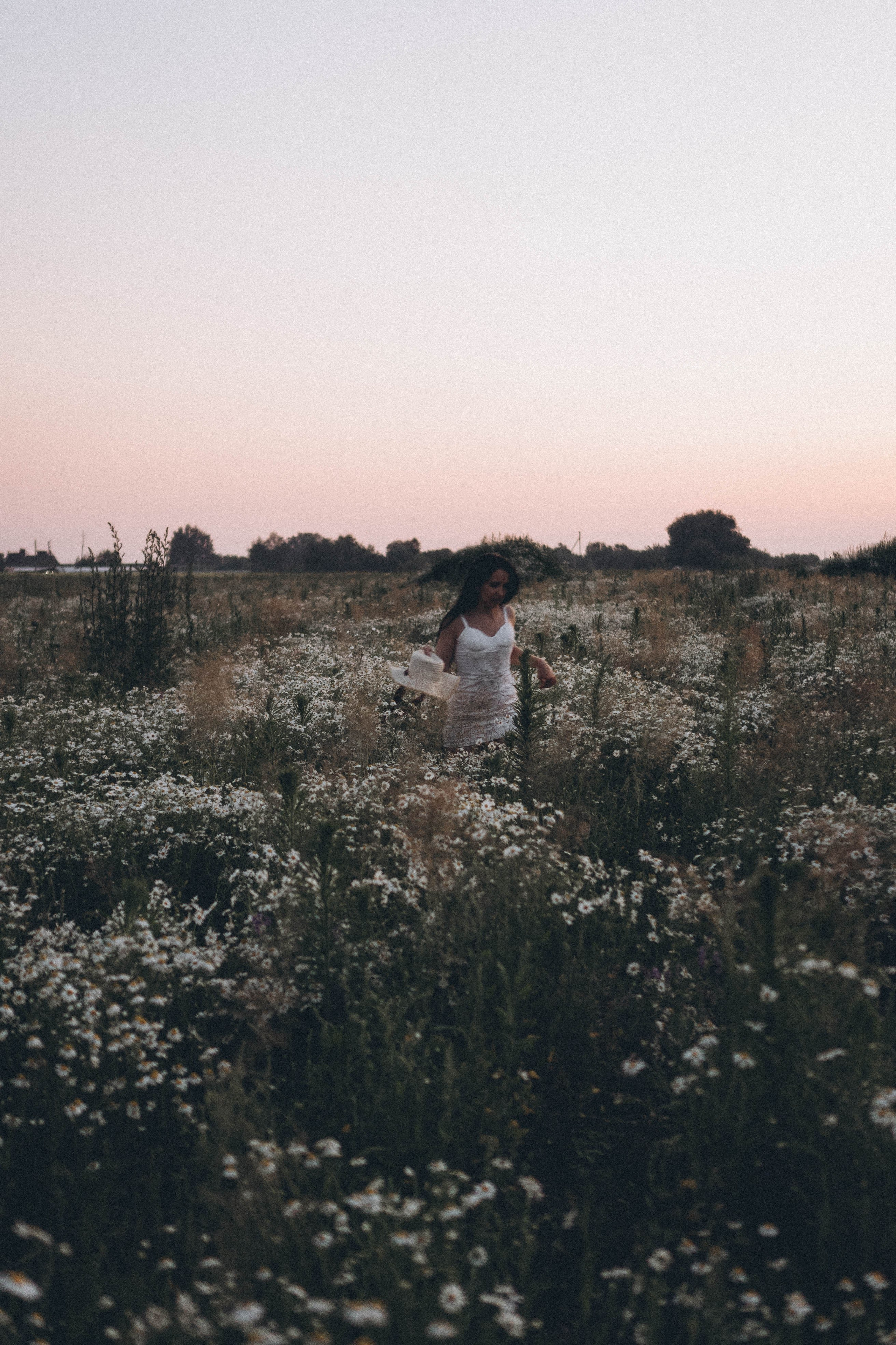 Ромашковое поле. Профессиональный фотограф, Санкт-Петербург — Виктория Богомолова