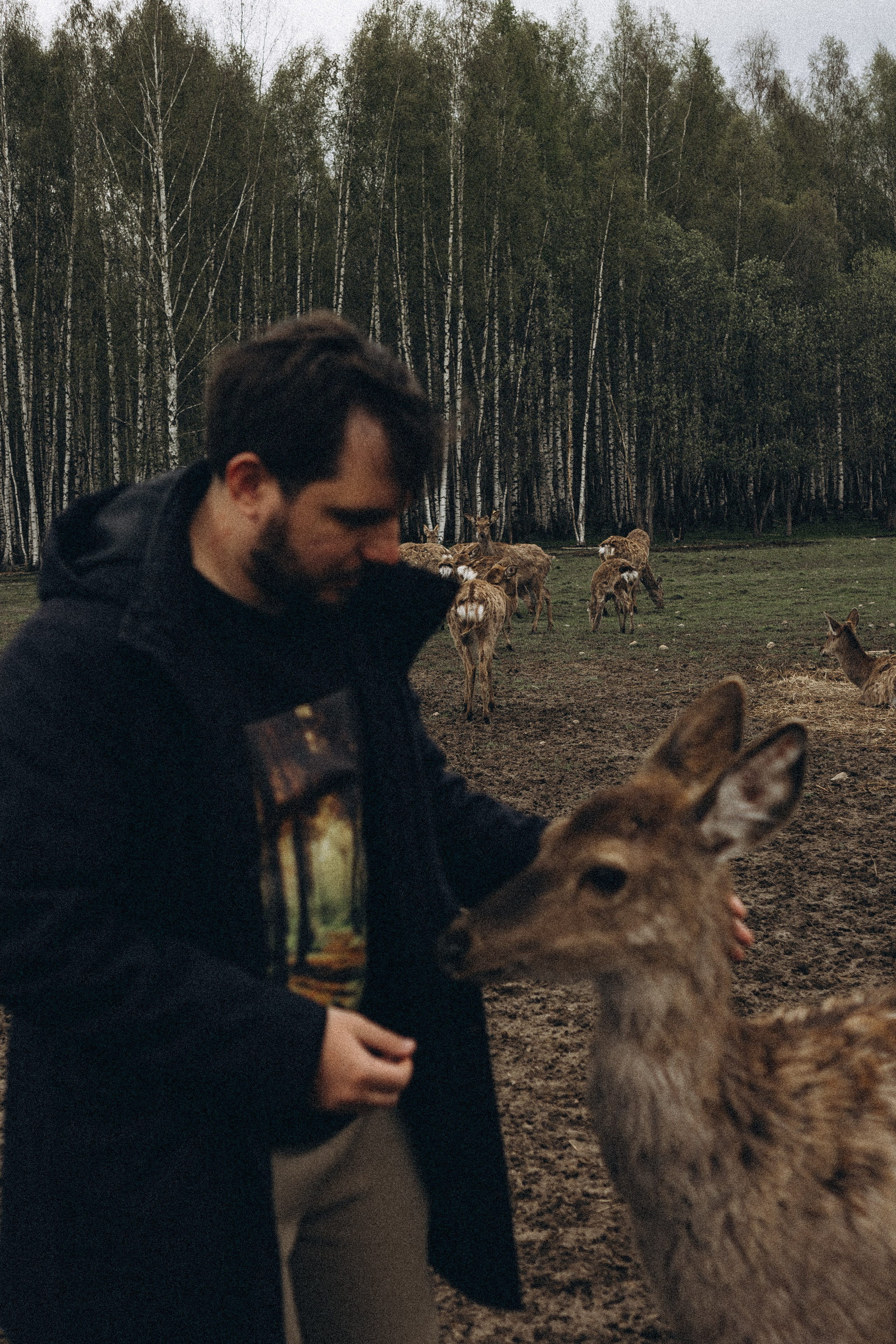 ОЛЕНЬЯ ФЕРМА В ТВЕРИ. Профессиональный фотограф, Санкт-Петербург — Виктория Богомолова