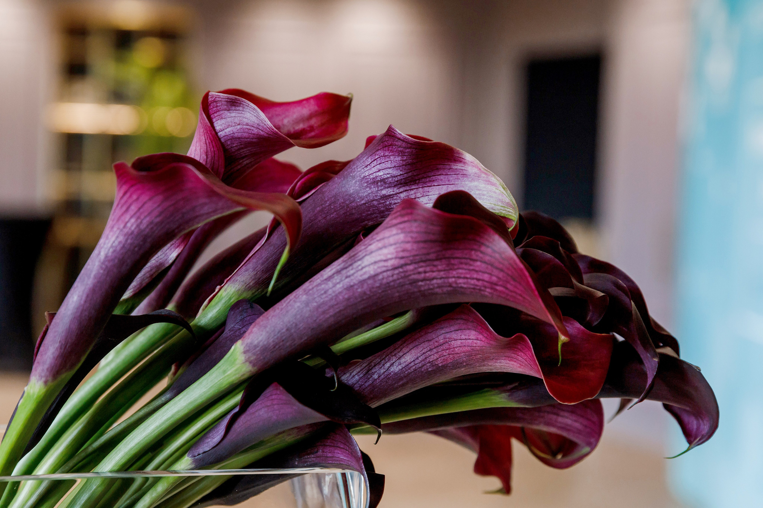 HUAWEI. Репортажный фотограф Минина Ирина