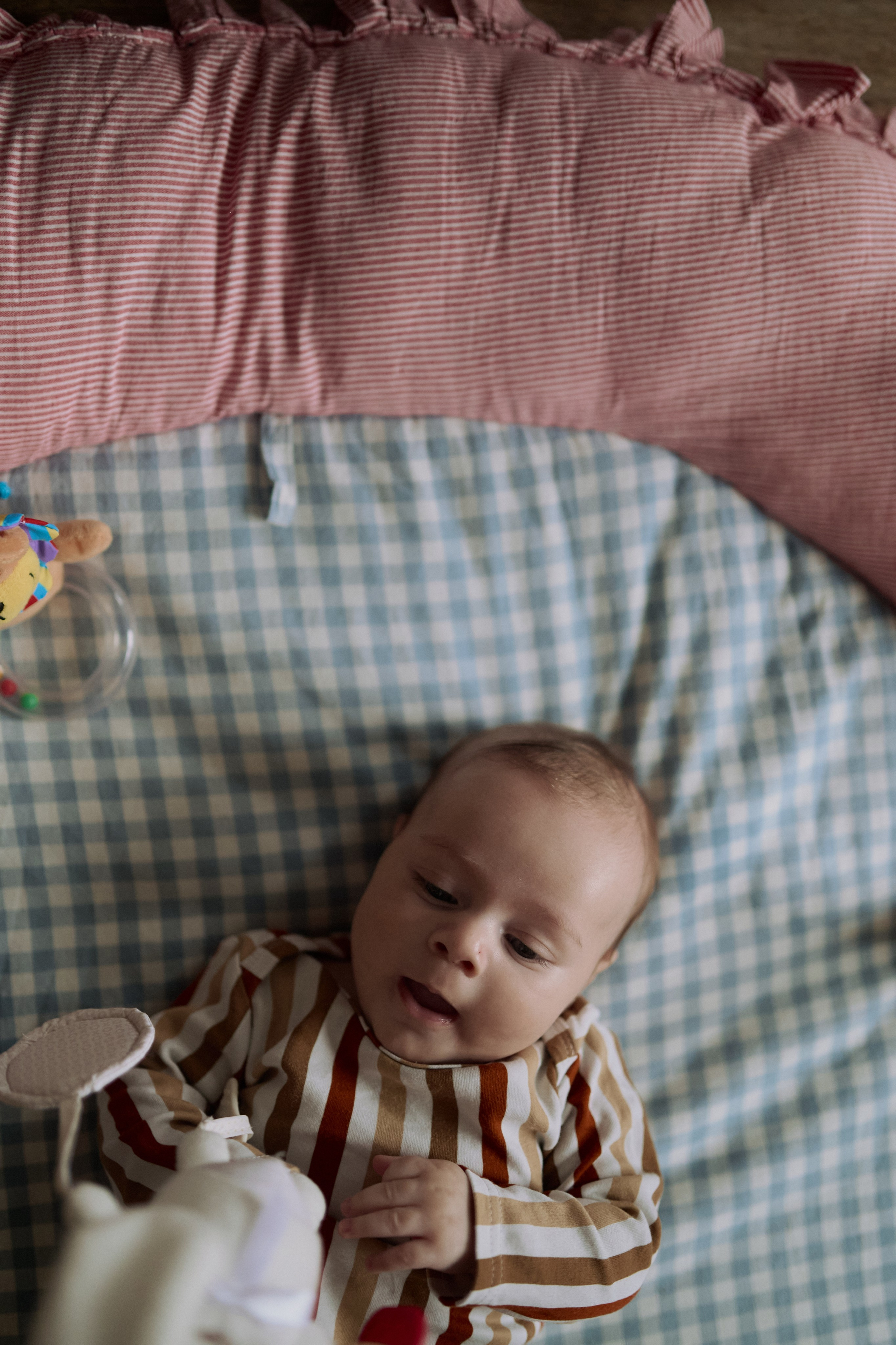 Эмир, Диана, Леон и Амин дома. Семейный и свадебный lifestyle-фотограф в Москве Мария Петрова