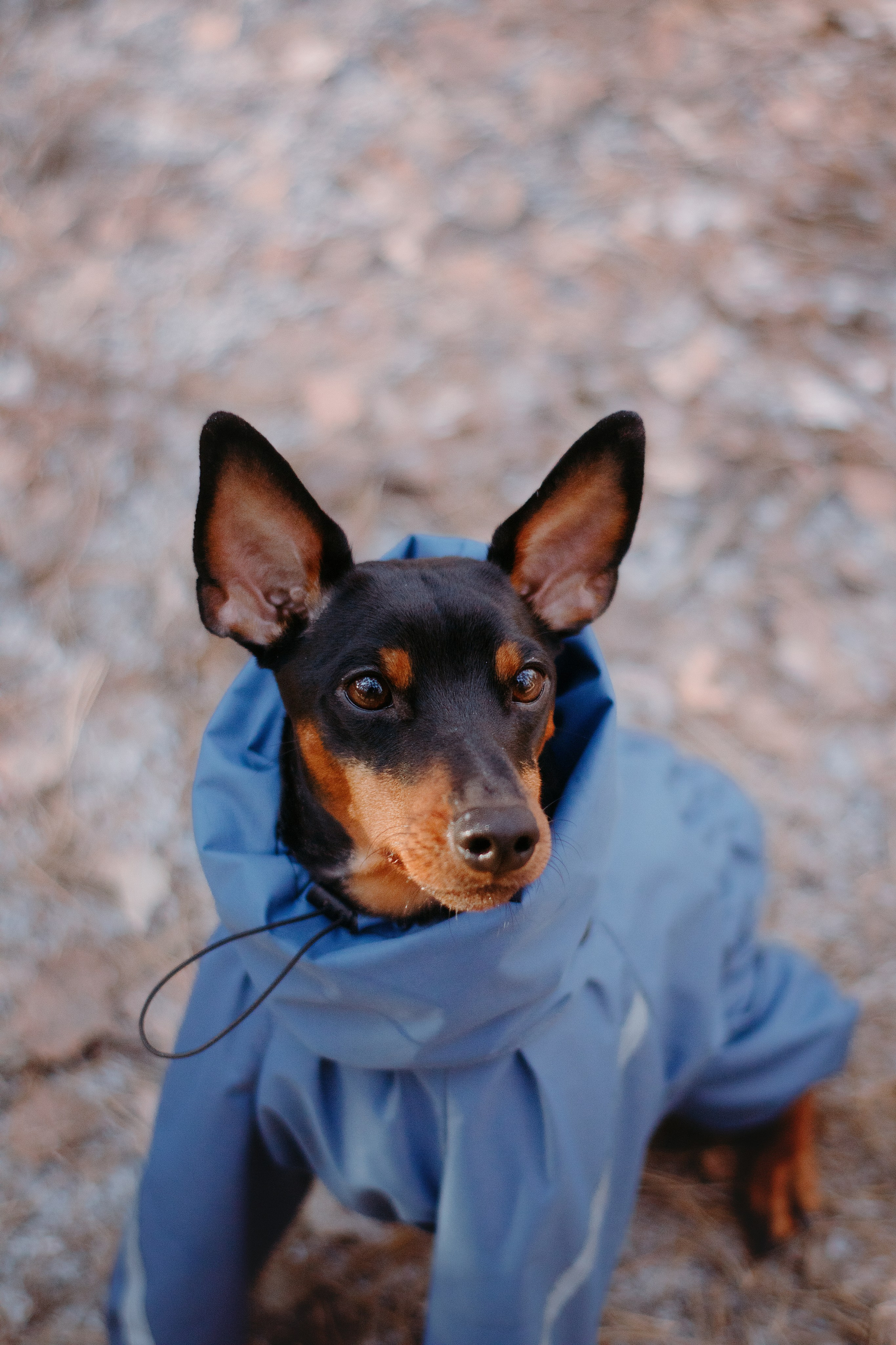 Людмила и Саймон. Фотограф в Тюмени Лизавета Сапицкая
