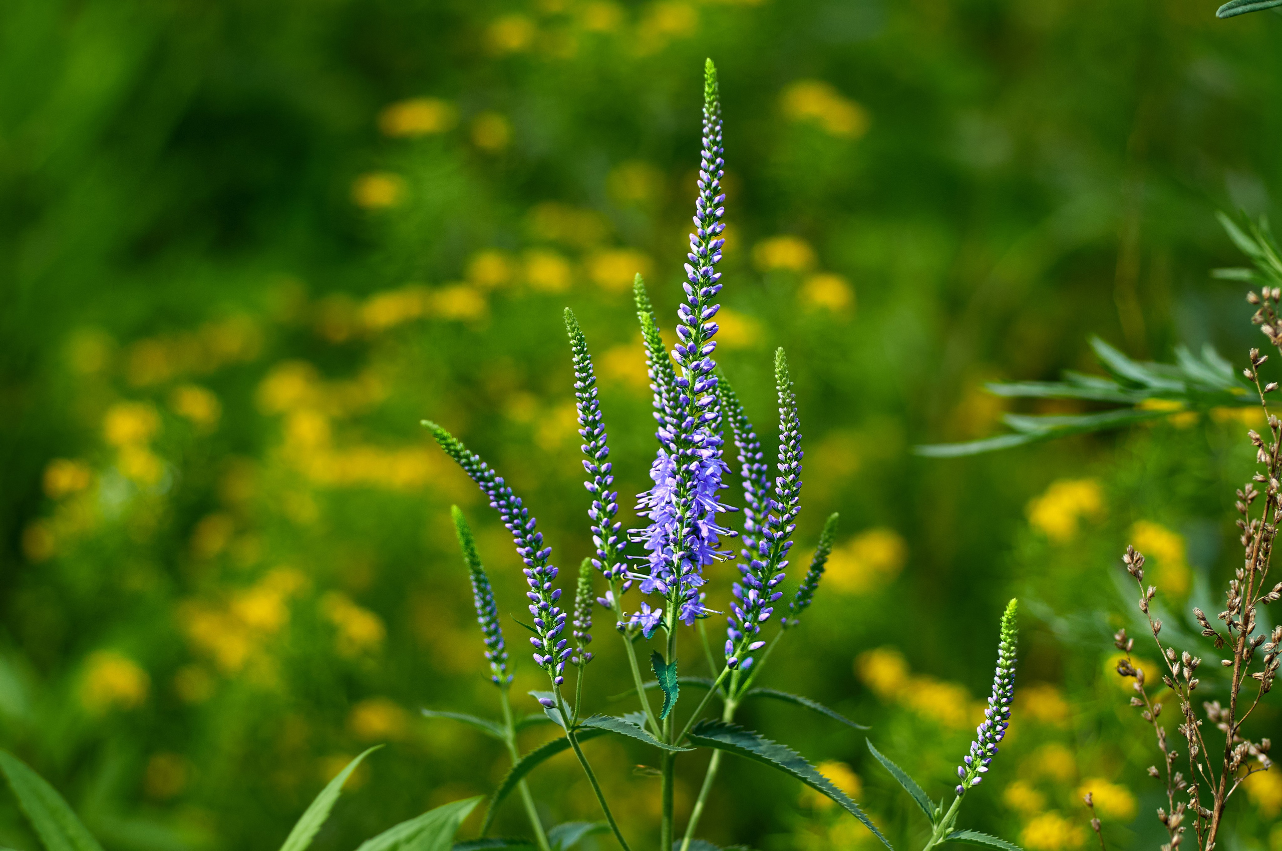 Искусство пейзажа: гармония природы в фотографиях. Координаты красоты — география в фокусе