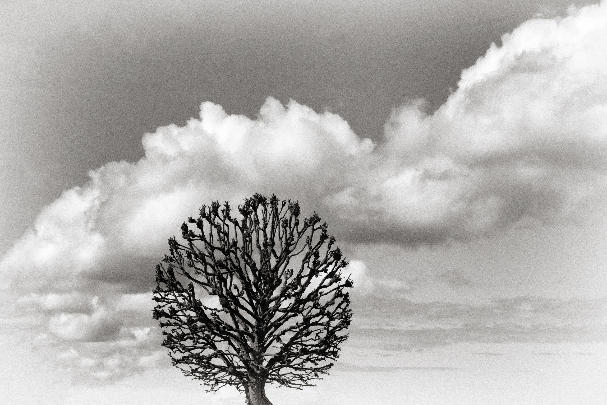 Фотограф Ольга Дунаева