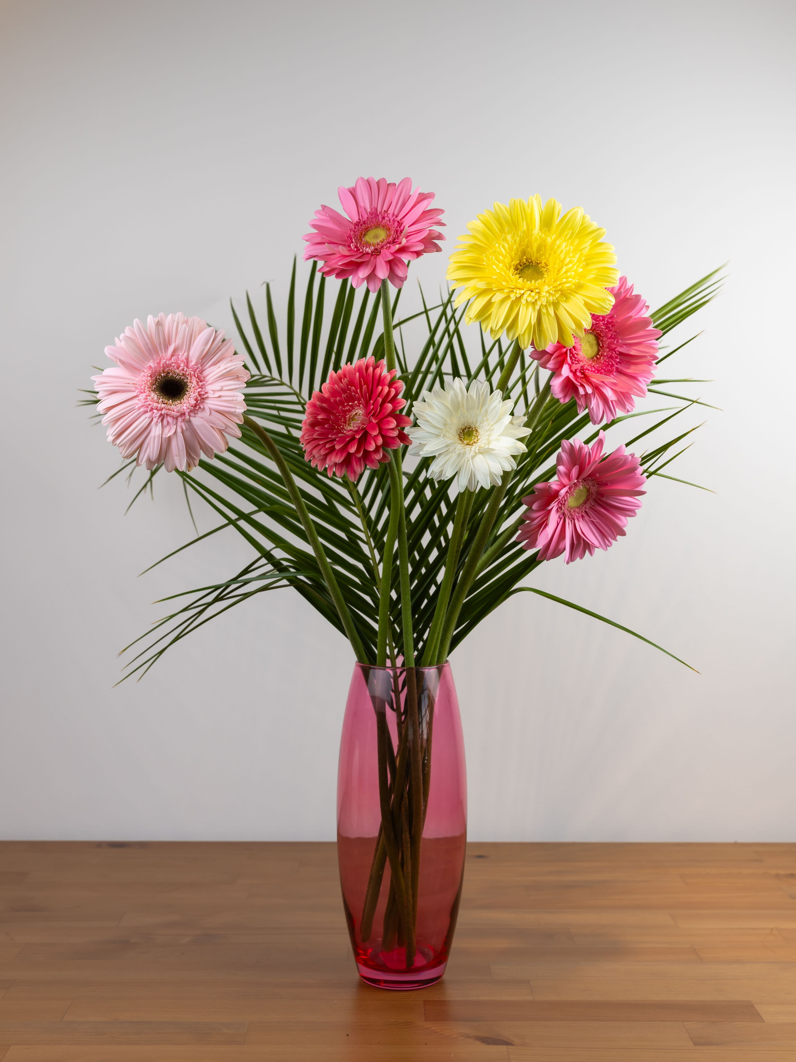 01.08.2025 Фотосессия Цветополис. ФОТОГРАФ ВИНОГРАДОВА ДАРЬЯ