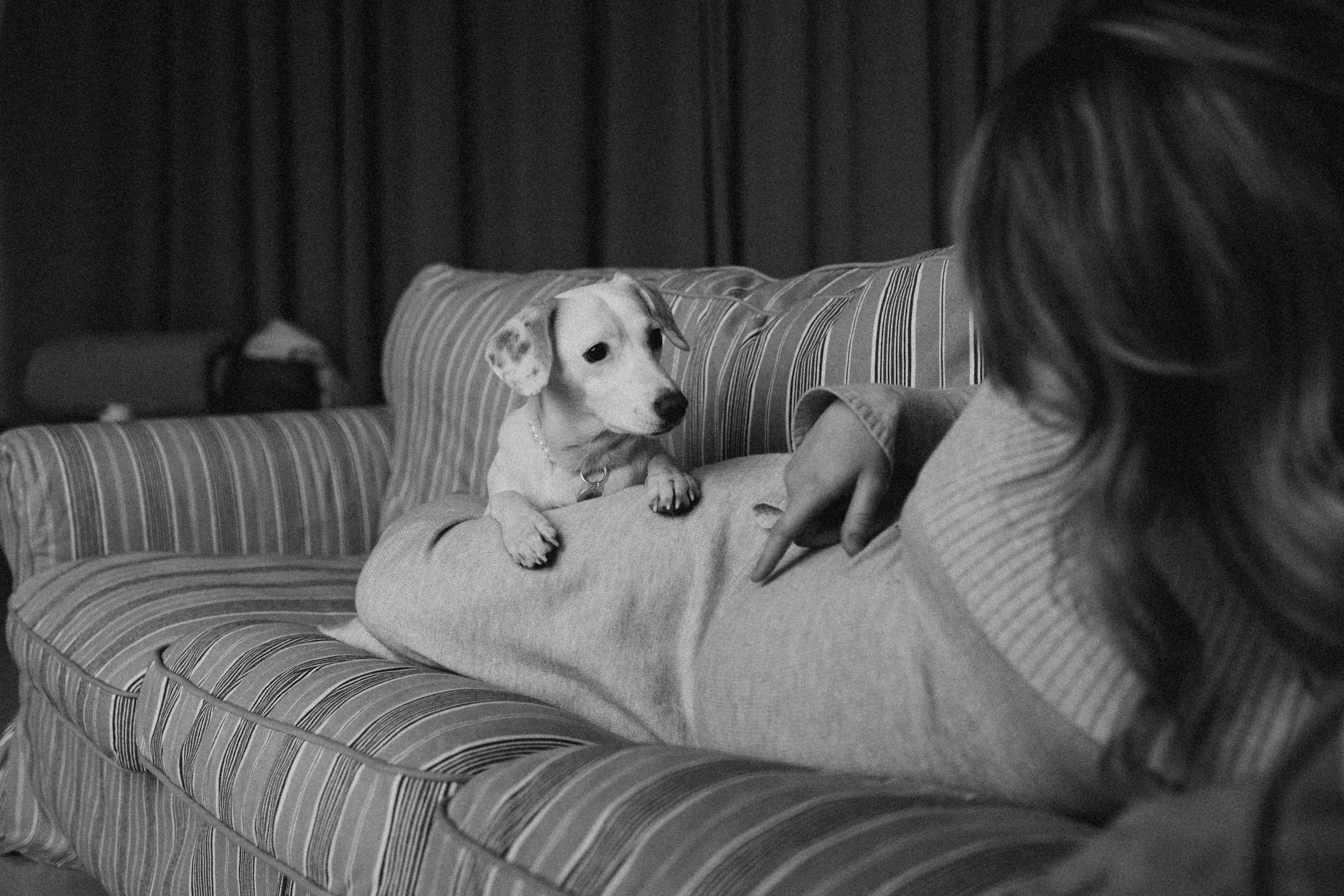 Луна и ее семья. Фотограф — Анималист | Санкт-Петербург