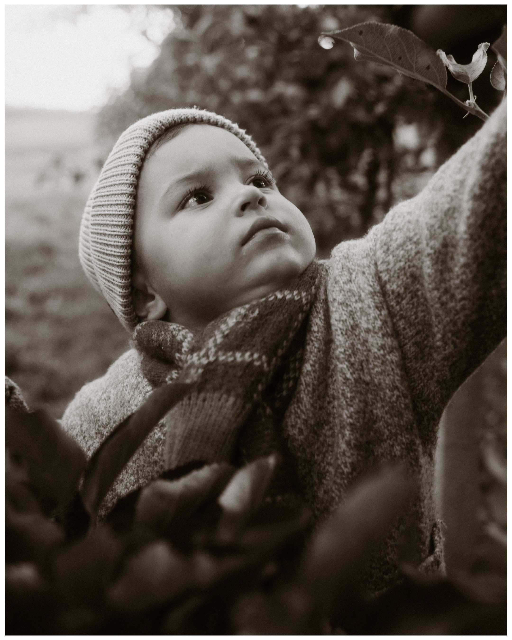 Семейные фотосесии 2025