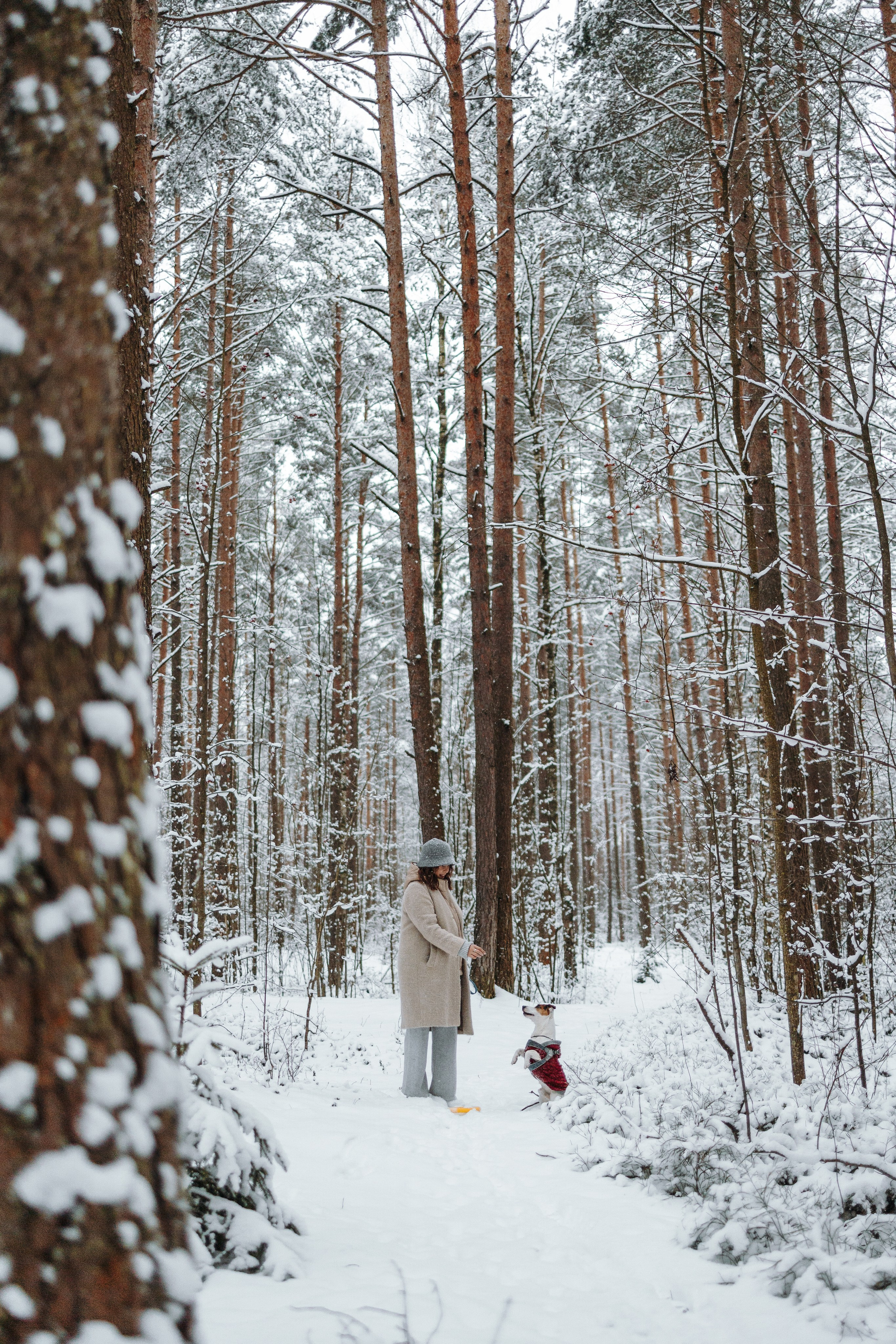 Мики и его семья. Фотограф — Анималист | Санкт-Петербург