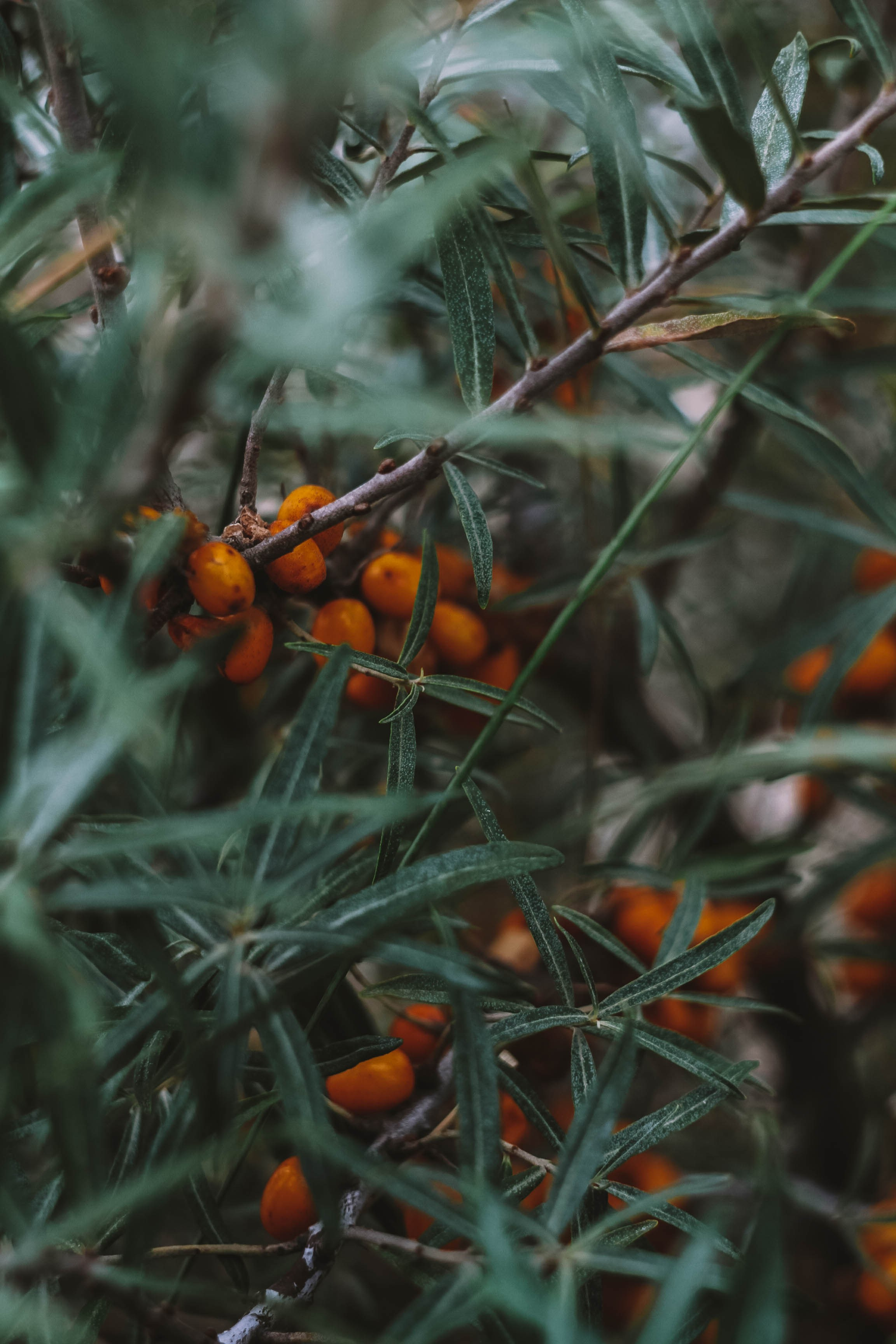 Калининград