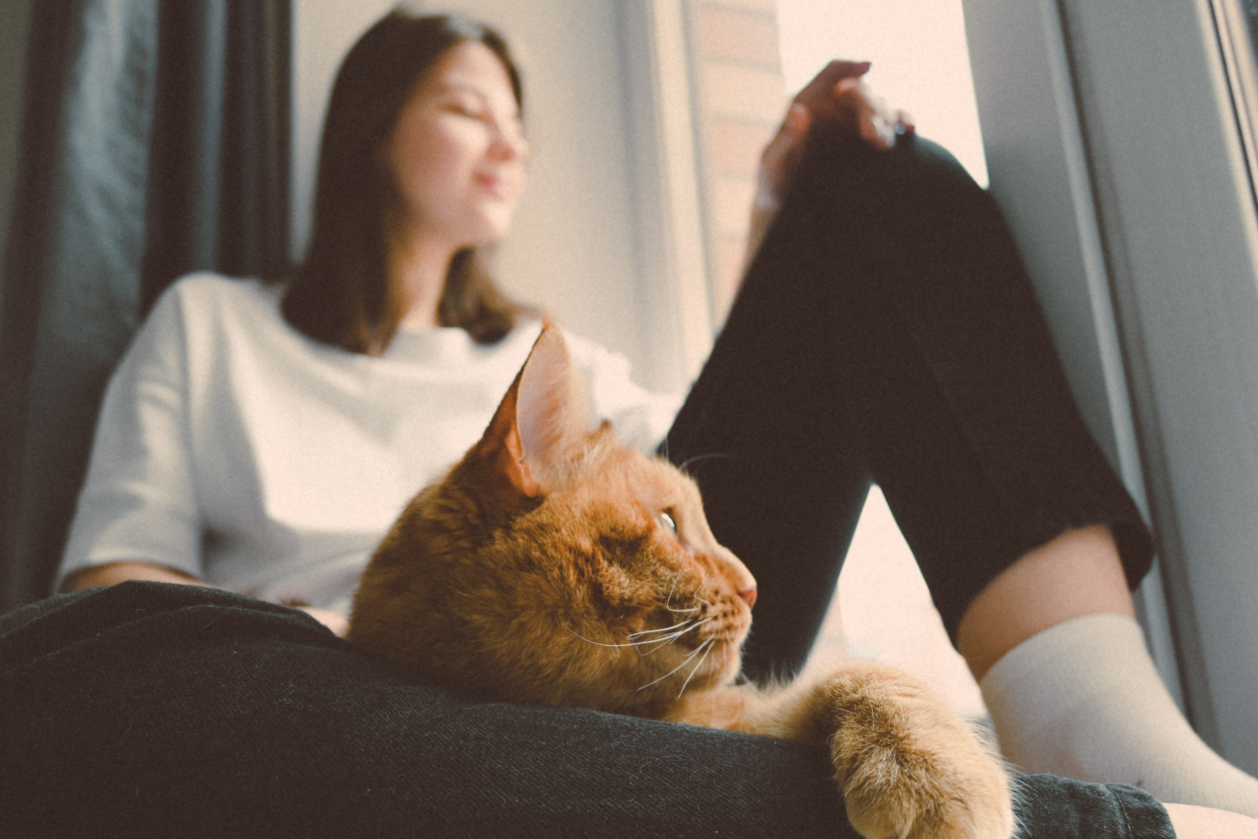 Тёплый квартирный фотосет — Настя. Фотограф и видеограф в Москве Анна Матюхина