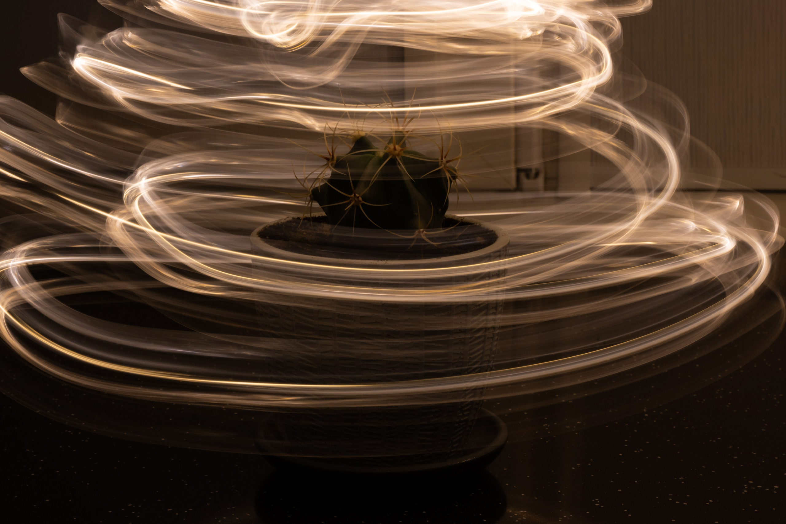 Баловство со светом. Фотограф и видеограф в Москве Анна Матюхина