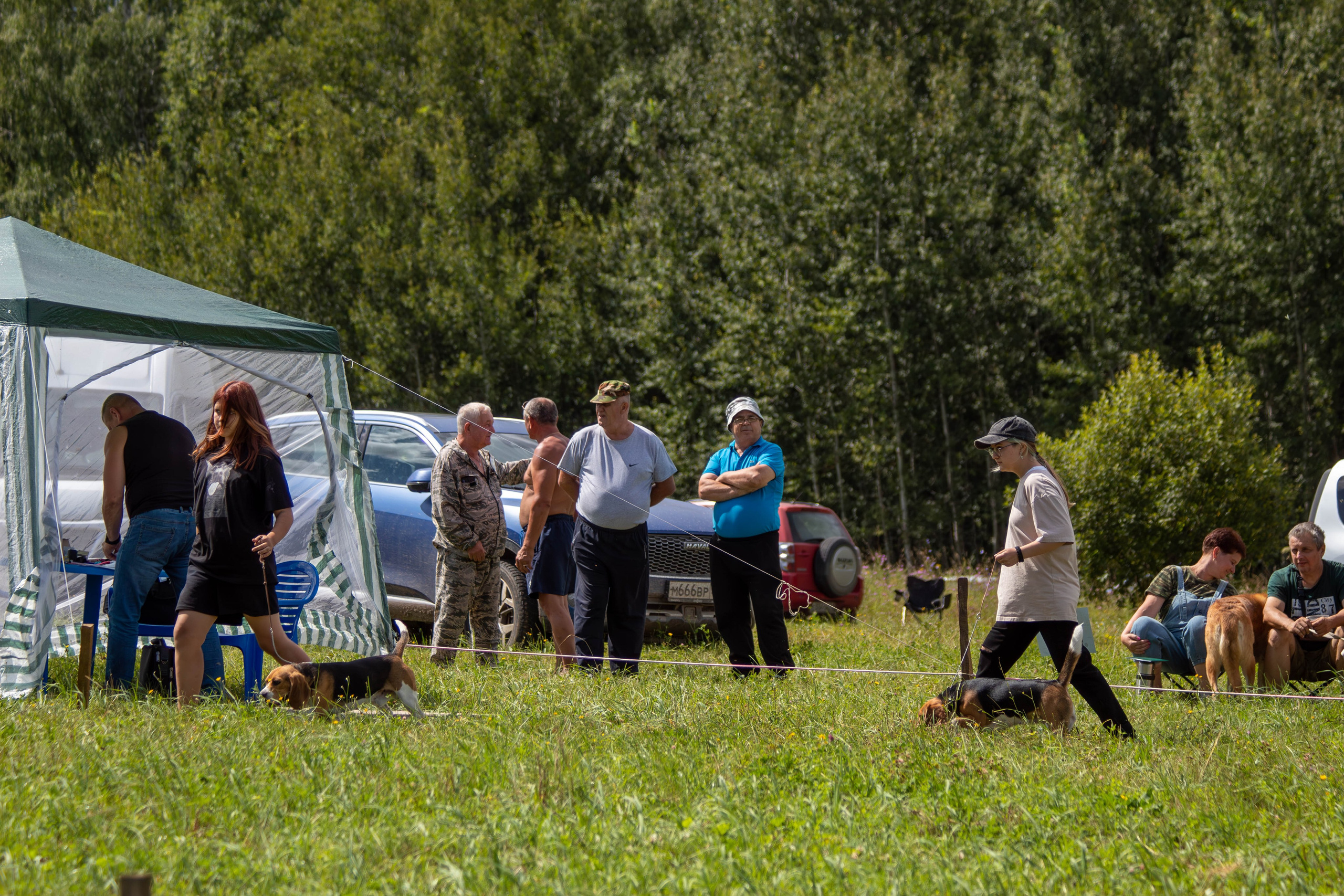 Репортажная съемка в Туле. Фотограф анималист — Тула, Москва
