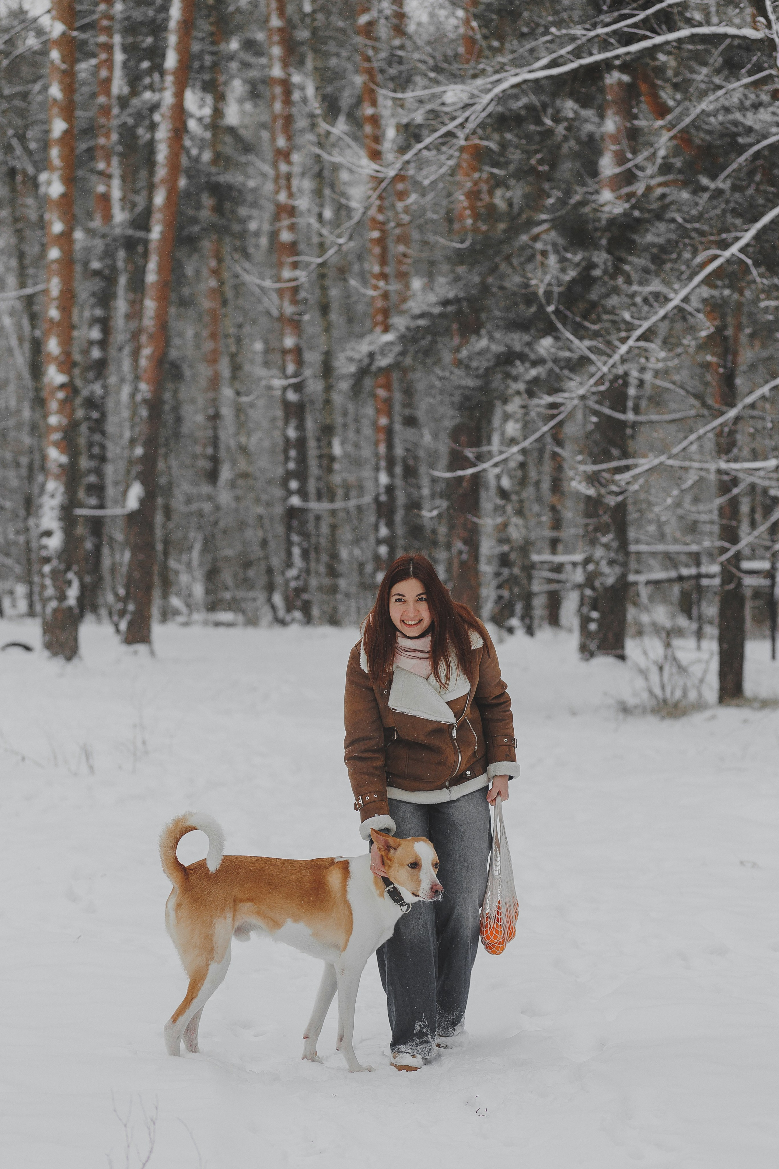Зимняя фотосессия в лесу с собакой. Фотограф в Москве и Люберцах Анна Ушакова