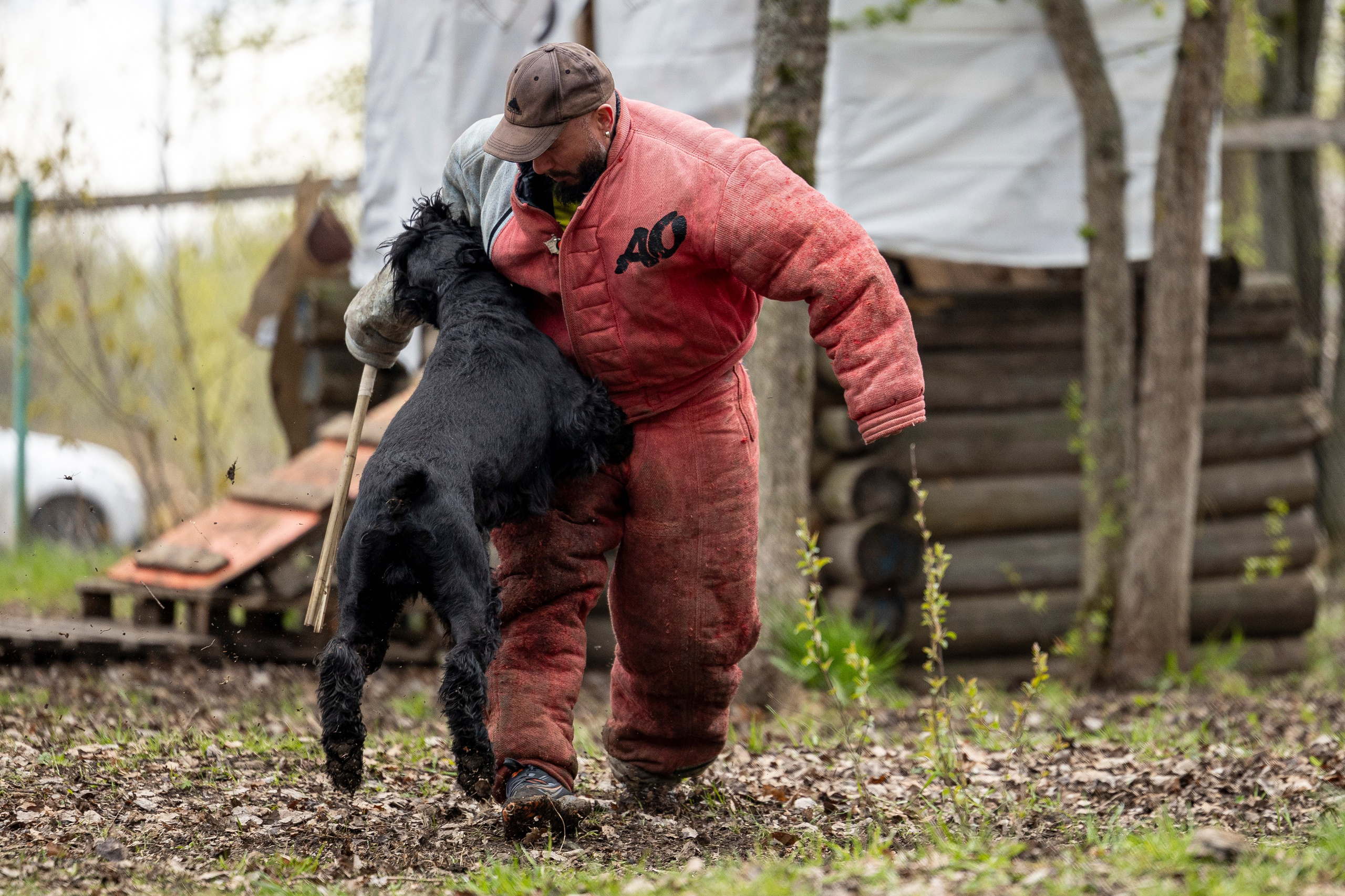 Квалификационные состязания по мондьорингу г. Вологда 11.05.24. Фотограф-анималист Анна Маринич