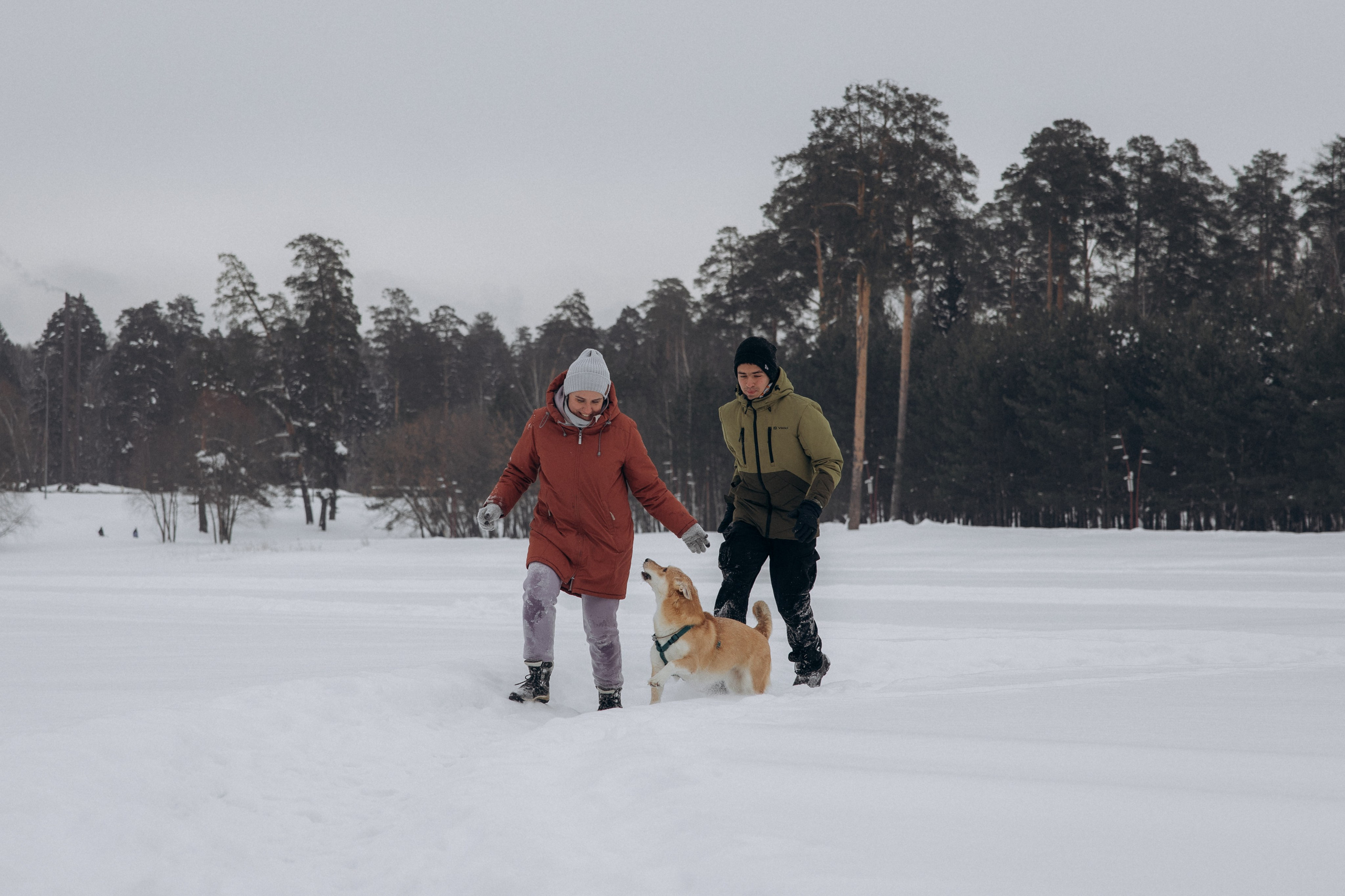 Прогулка на озере зимой. Фотограф анималист в Казани Алина Сулейманова. Фотограф животных