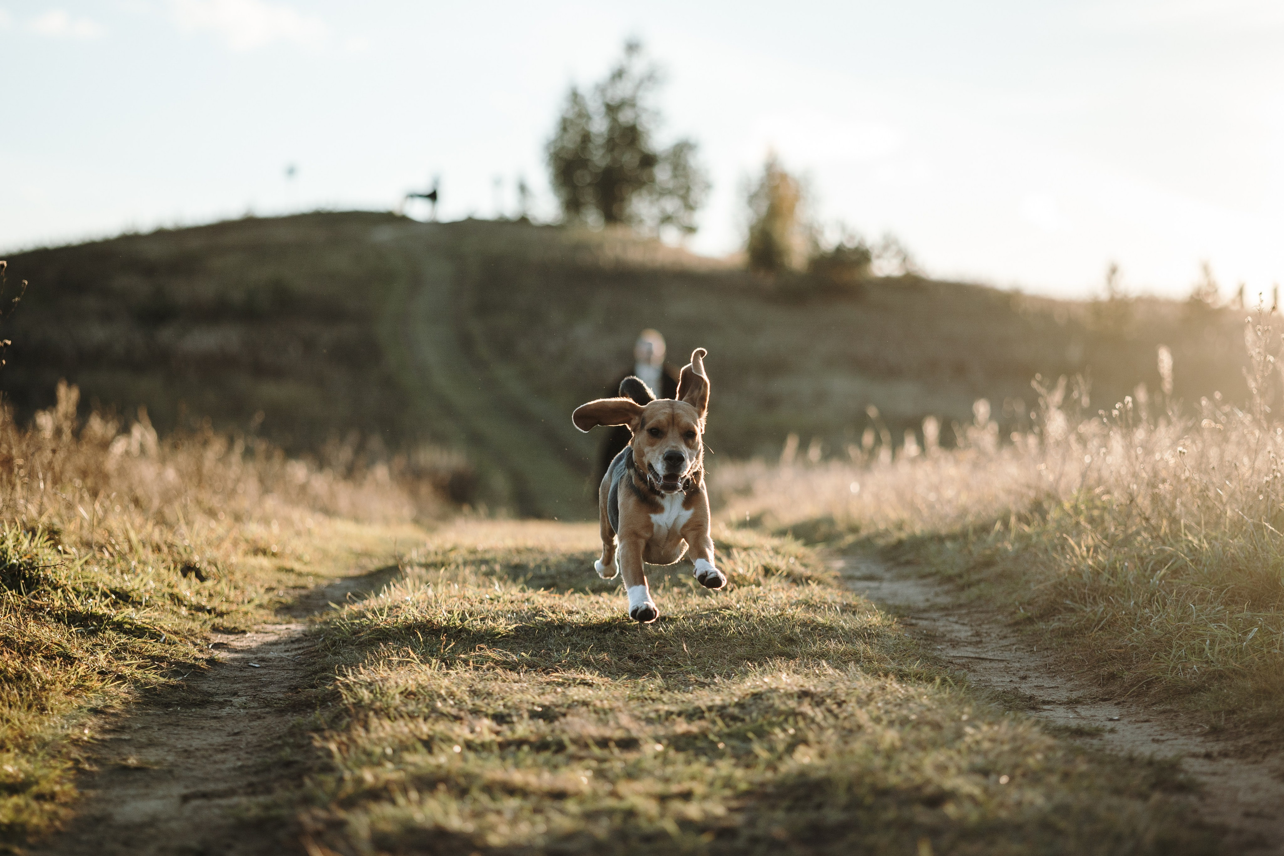 Оуджи и его семья. Фотограф — Анималист | Санкт-Петербург